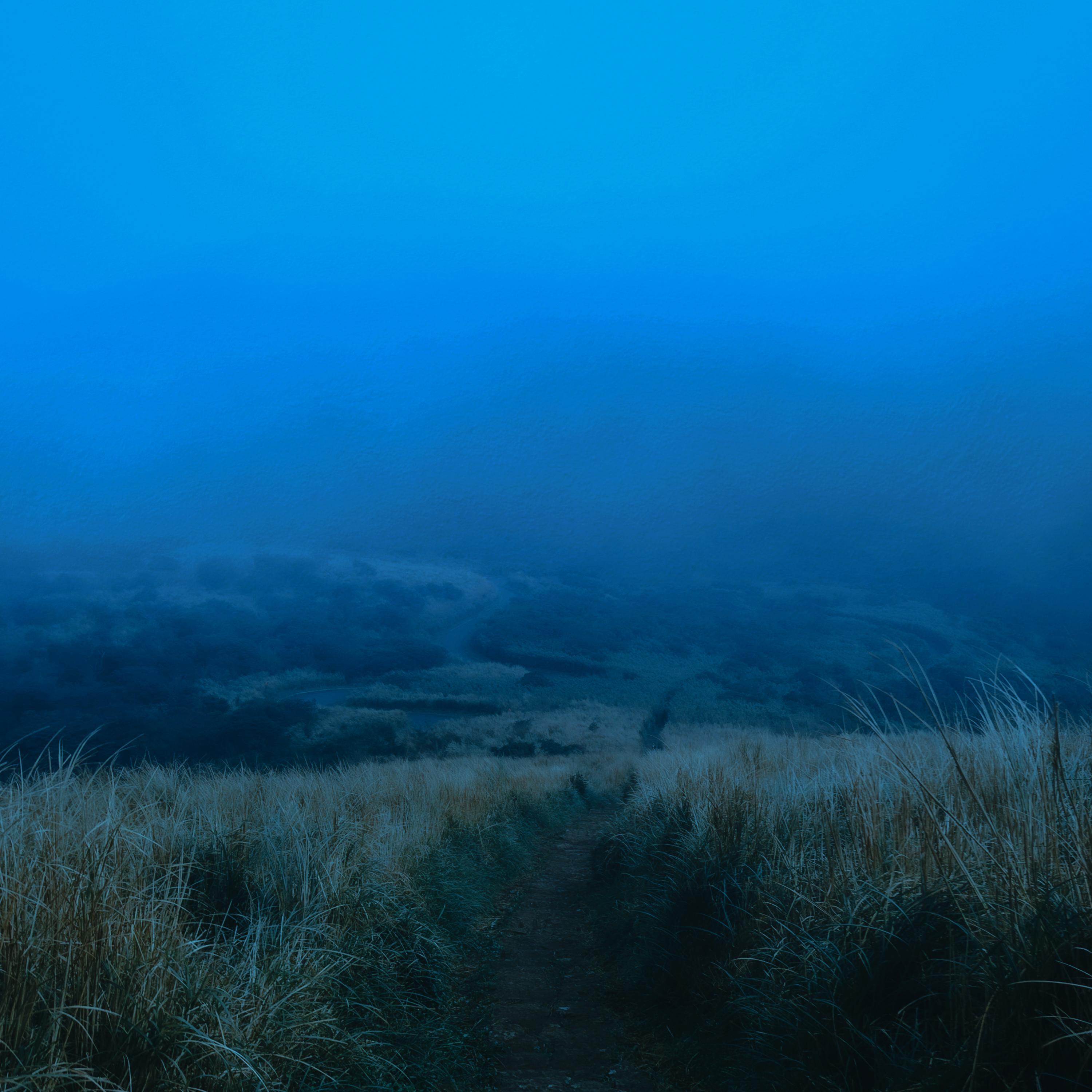 Релиз half-light