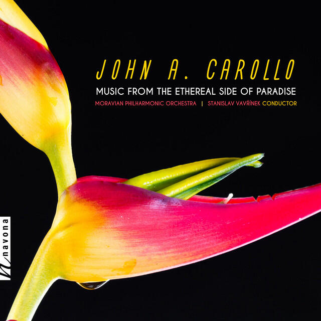 John A. Carollo