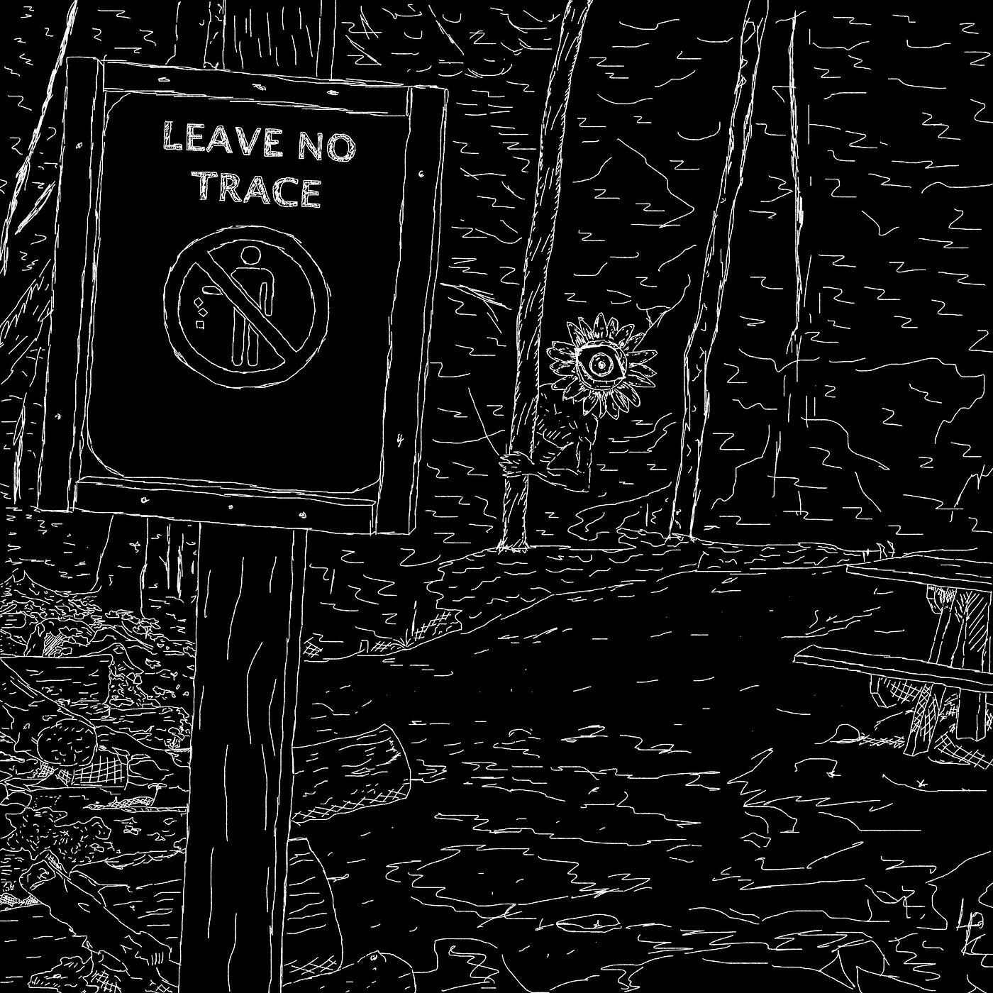 Релиз Leave No Trace