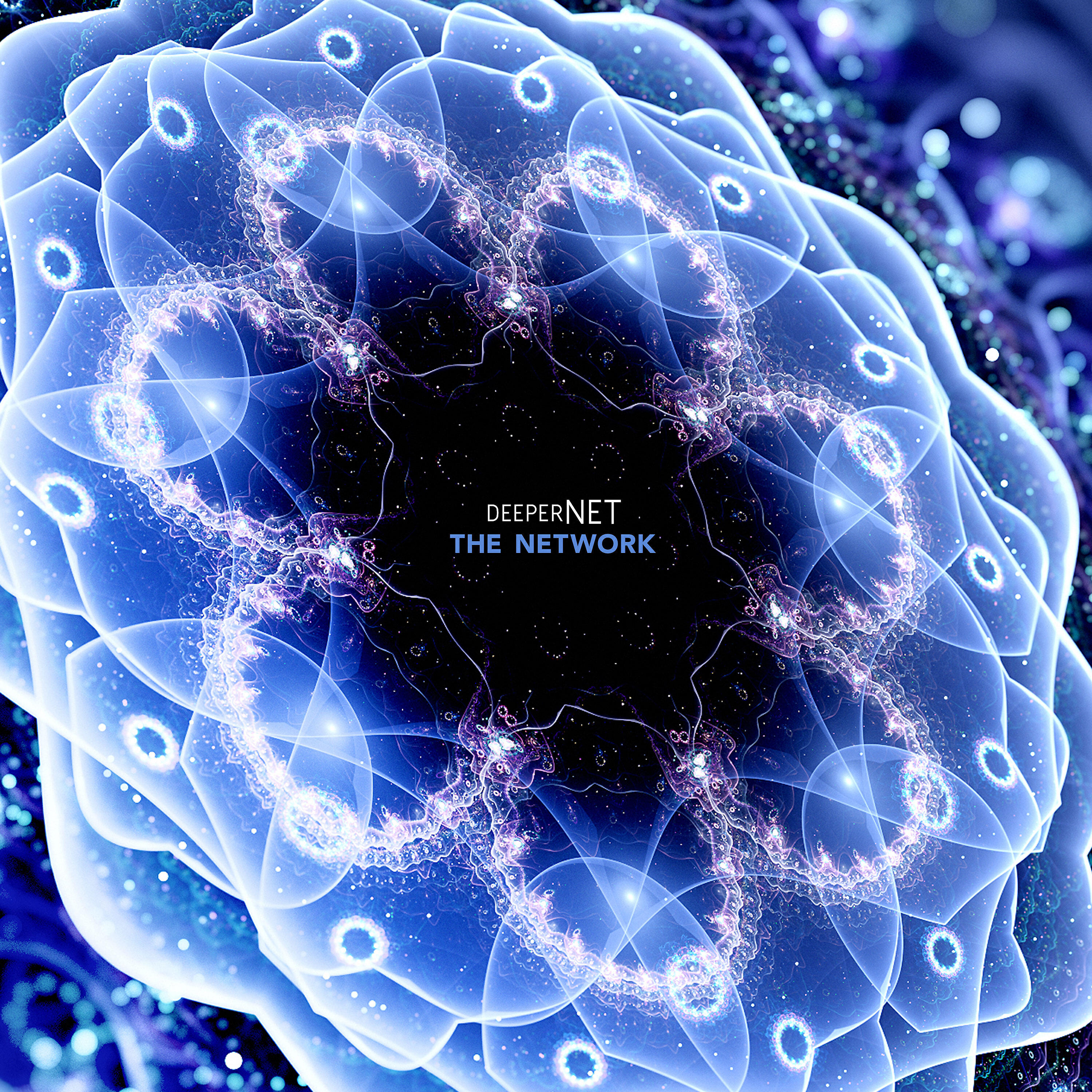 Релиз The Network
