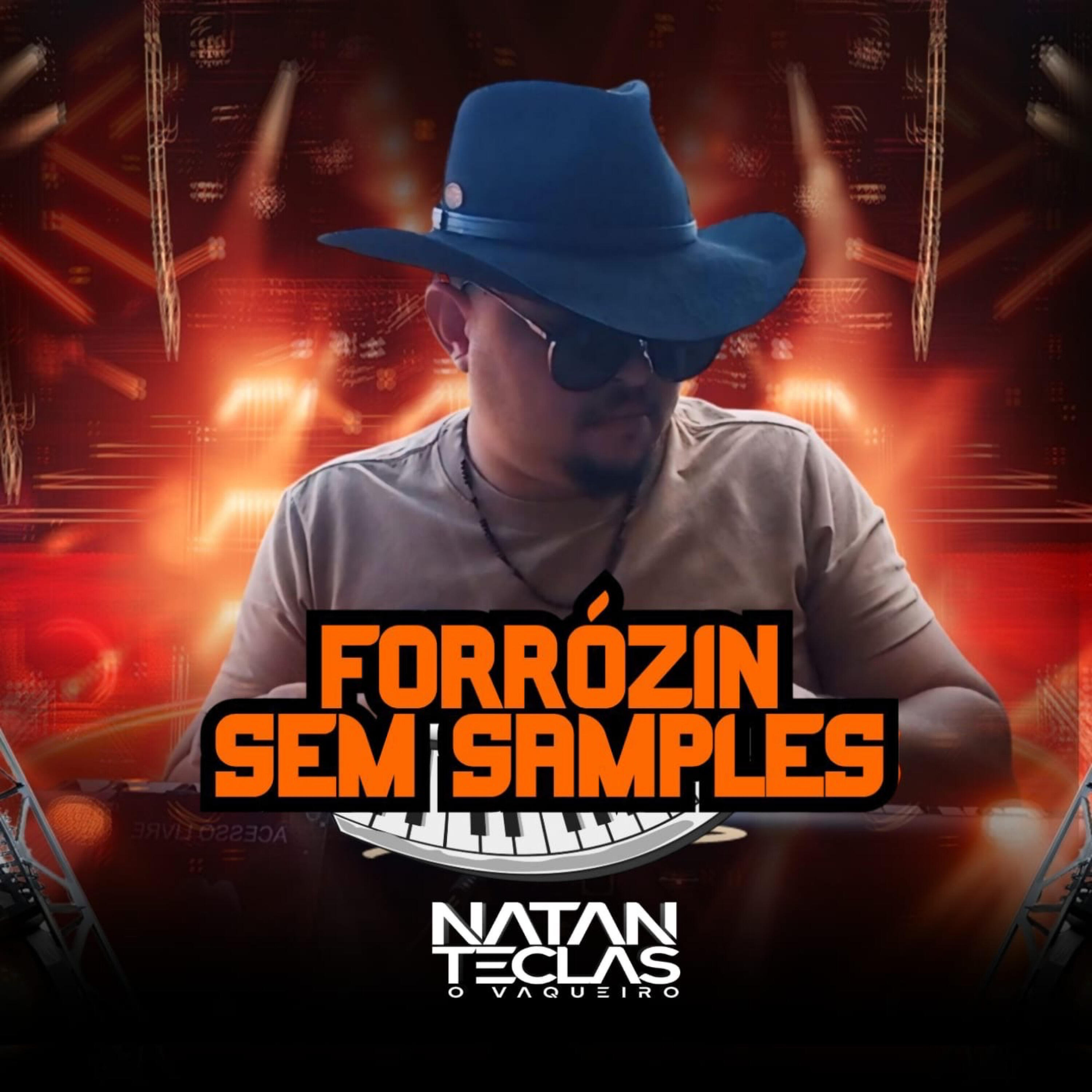 Релиз Forrózin Sem Samples