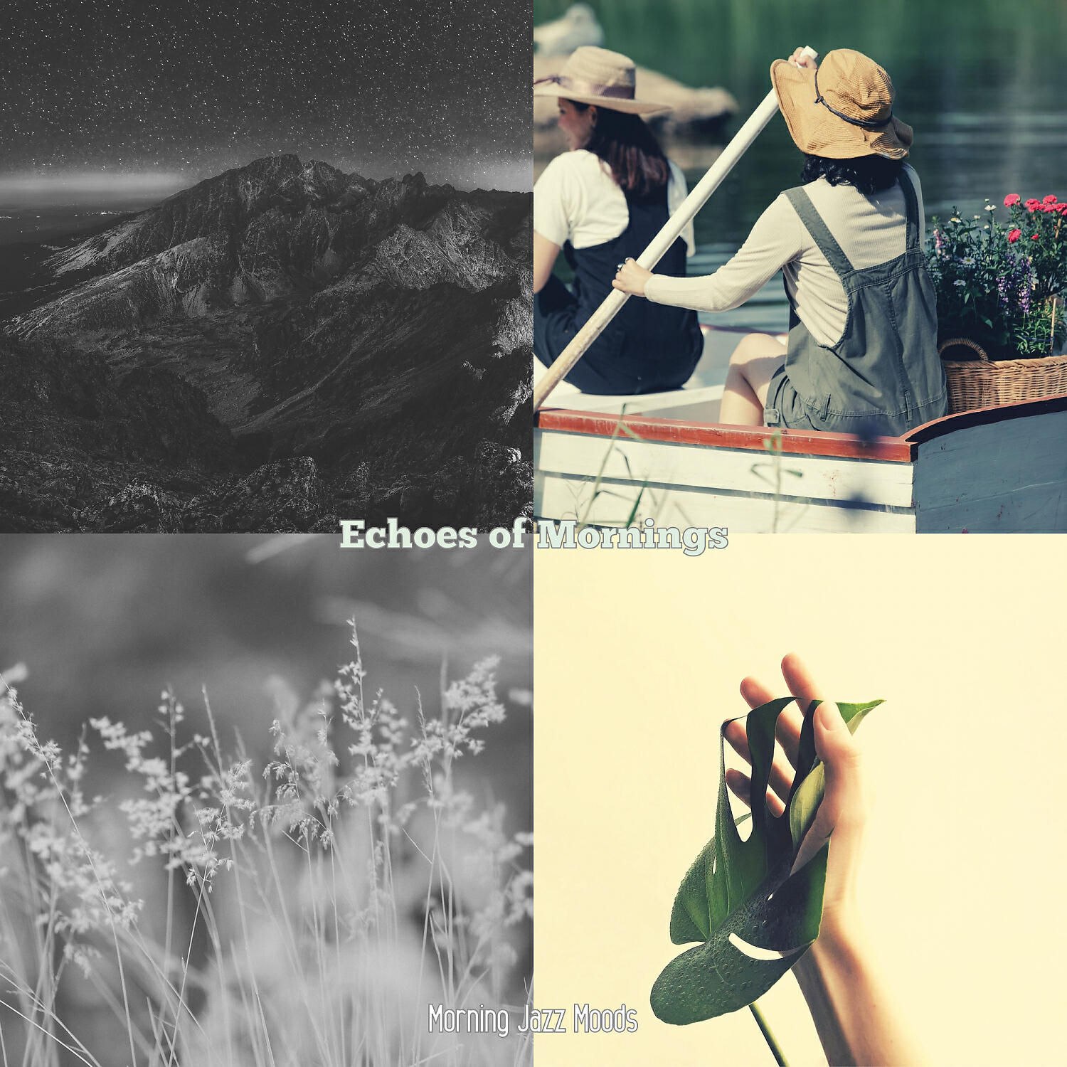 Постер альбома Echoes of Mornings
