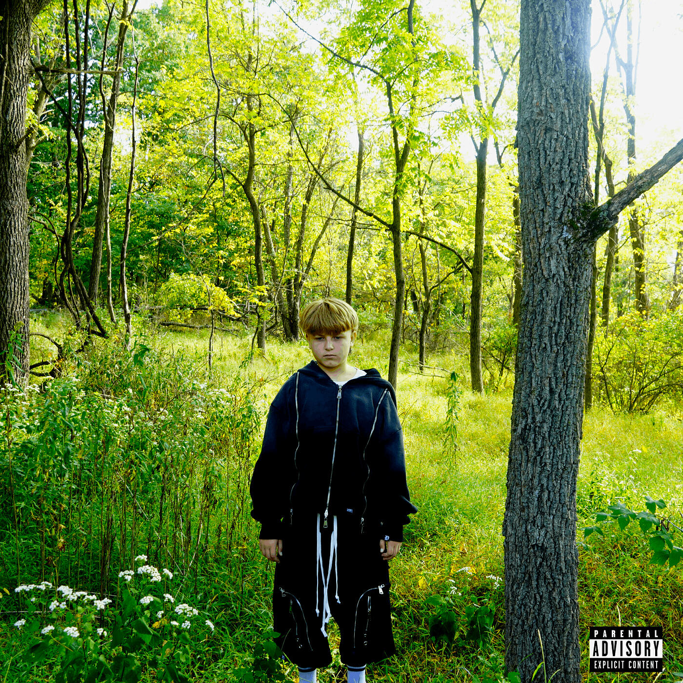 Релиз Nature