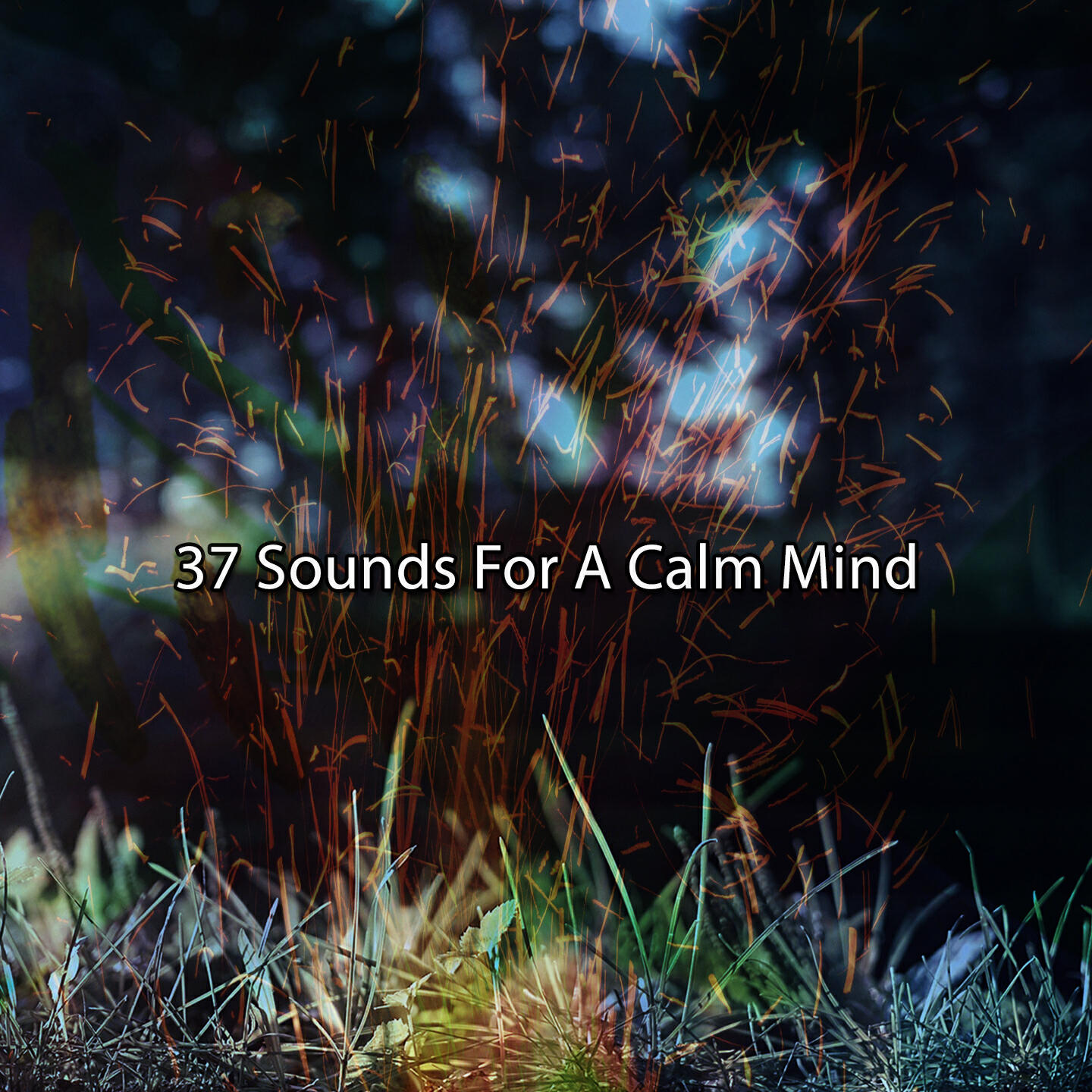 Релиз 37 Sounds For A Calm Mind