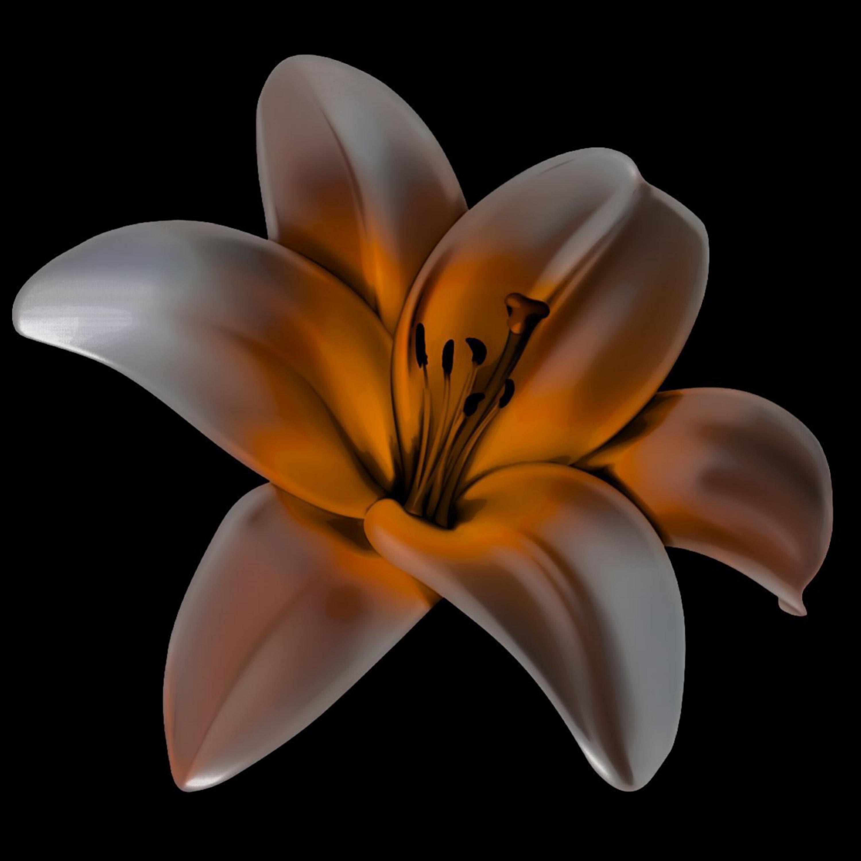 Релиз Lilium 4