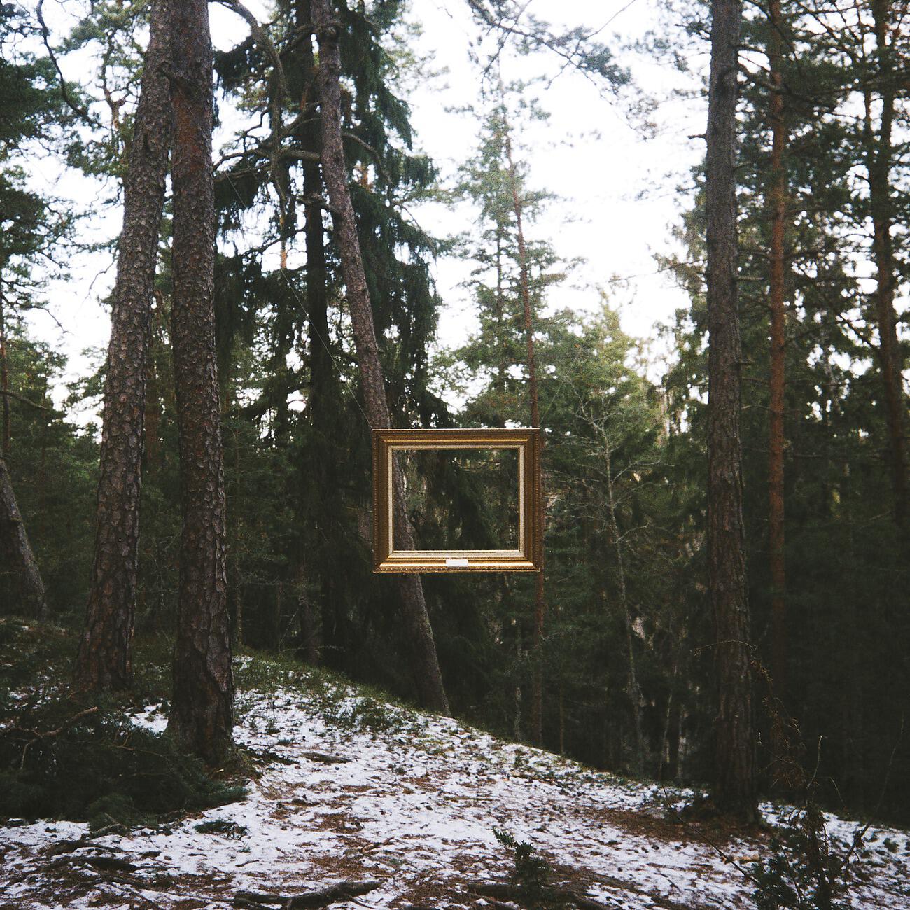 Релиз Metamorphosis