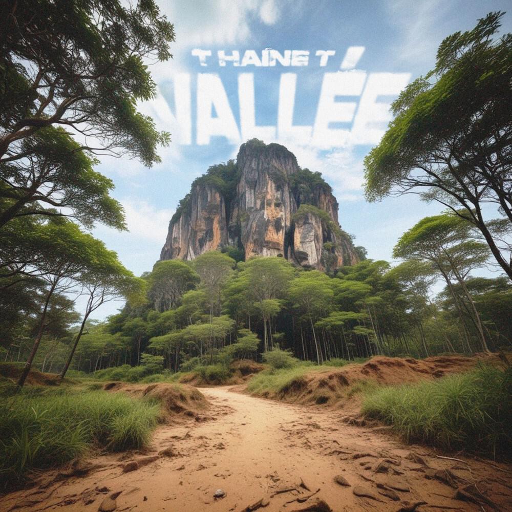 Релиз Vallée