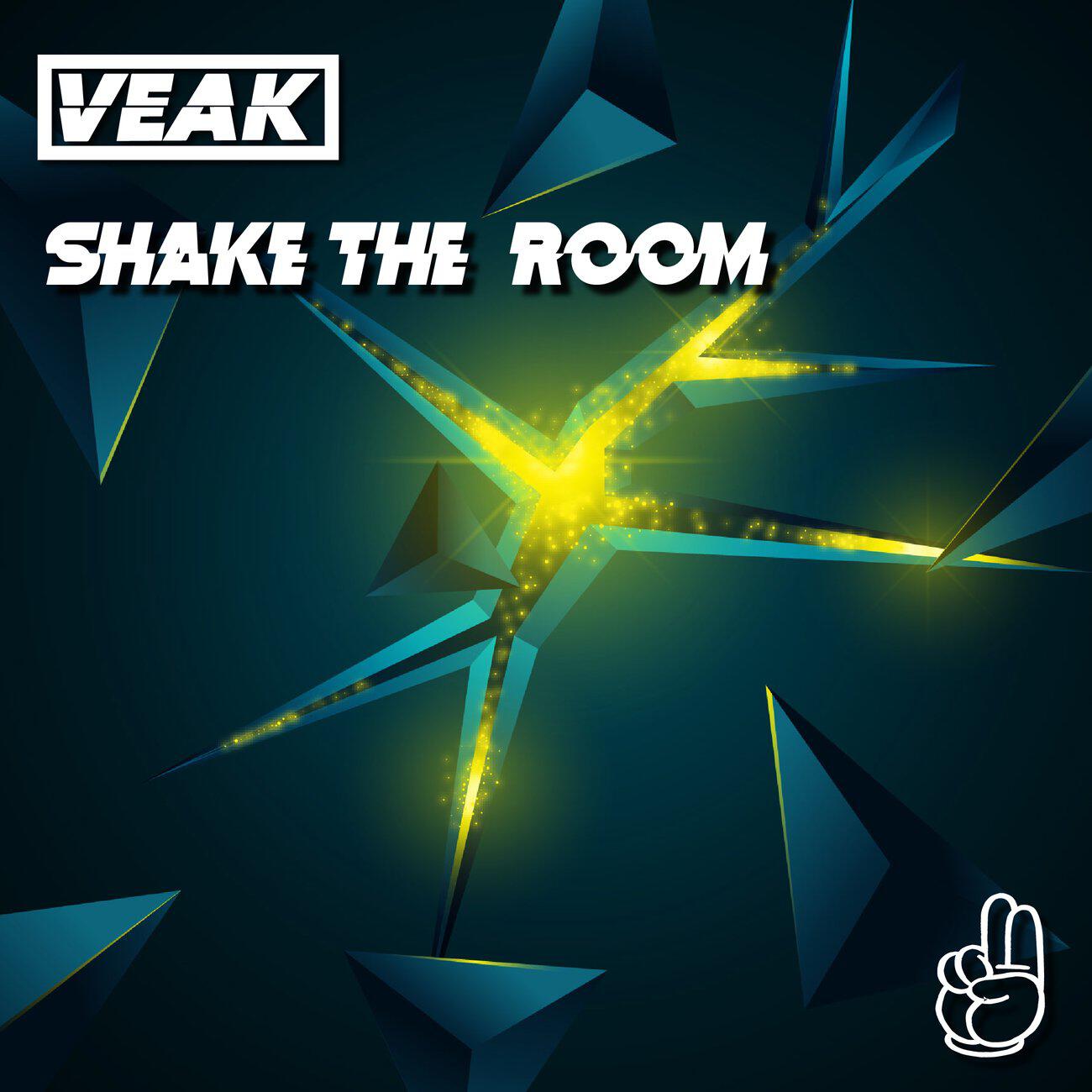 Релиз Shake The Room