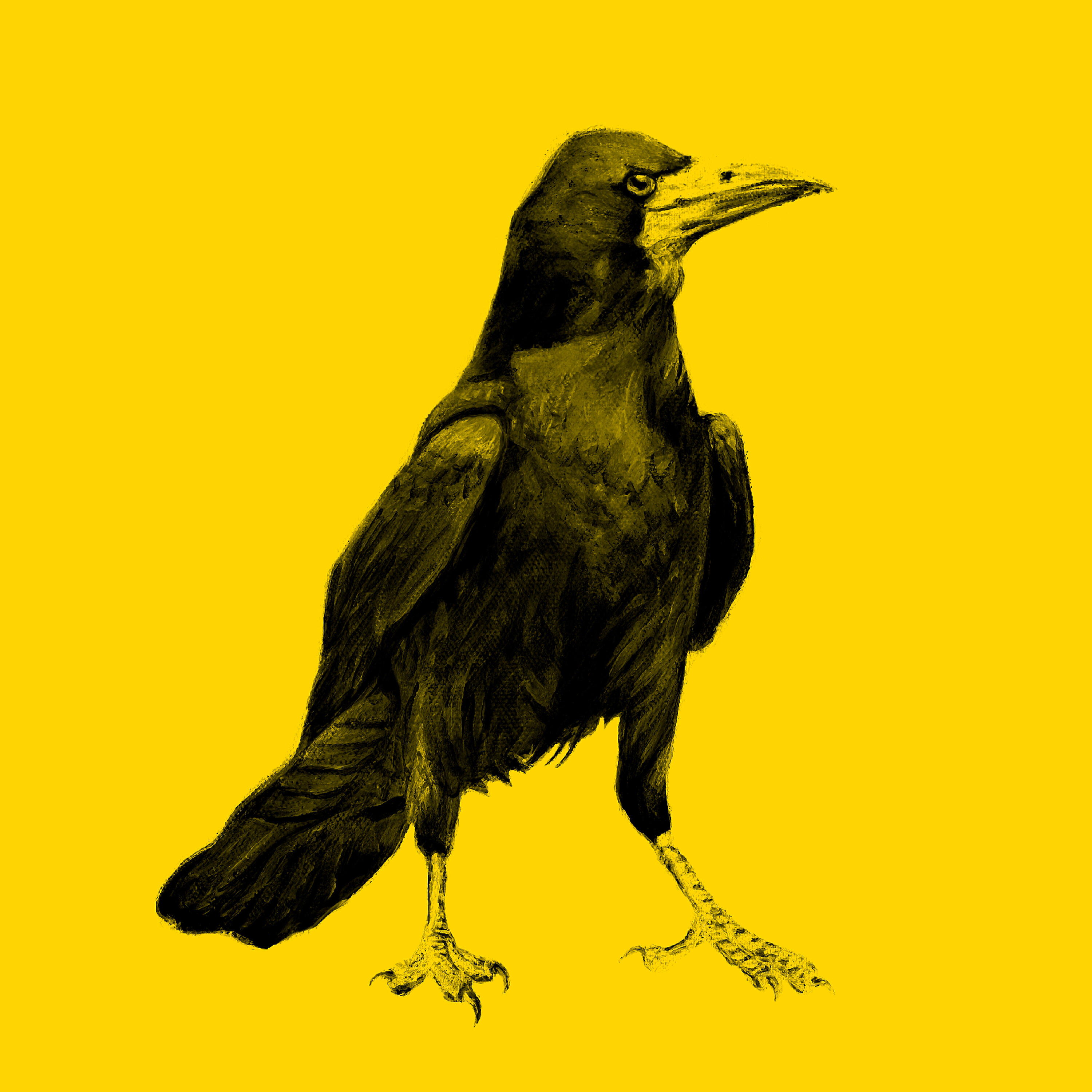 Постер альбома Yellow