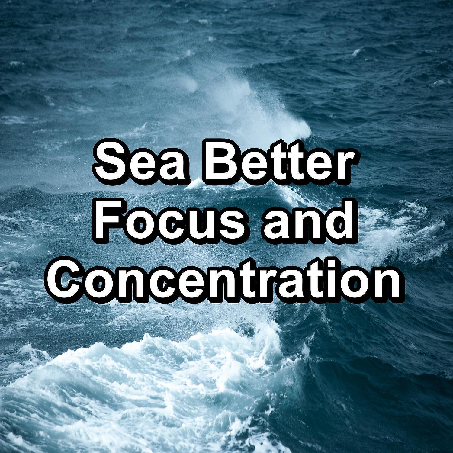 Релиз Sea Better Focus and Concentration
