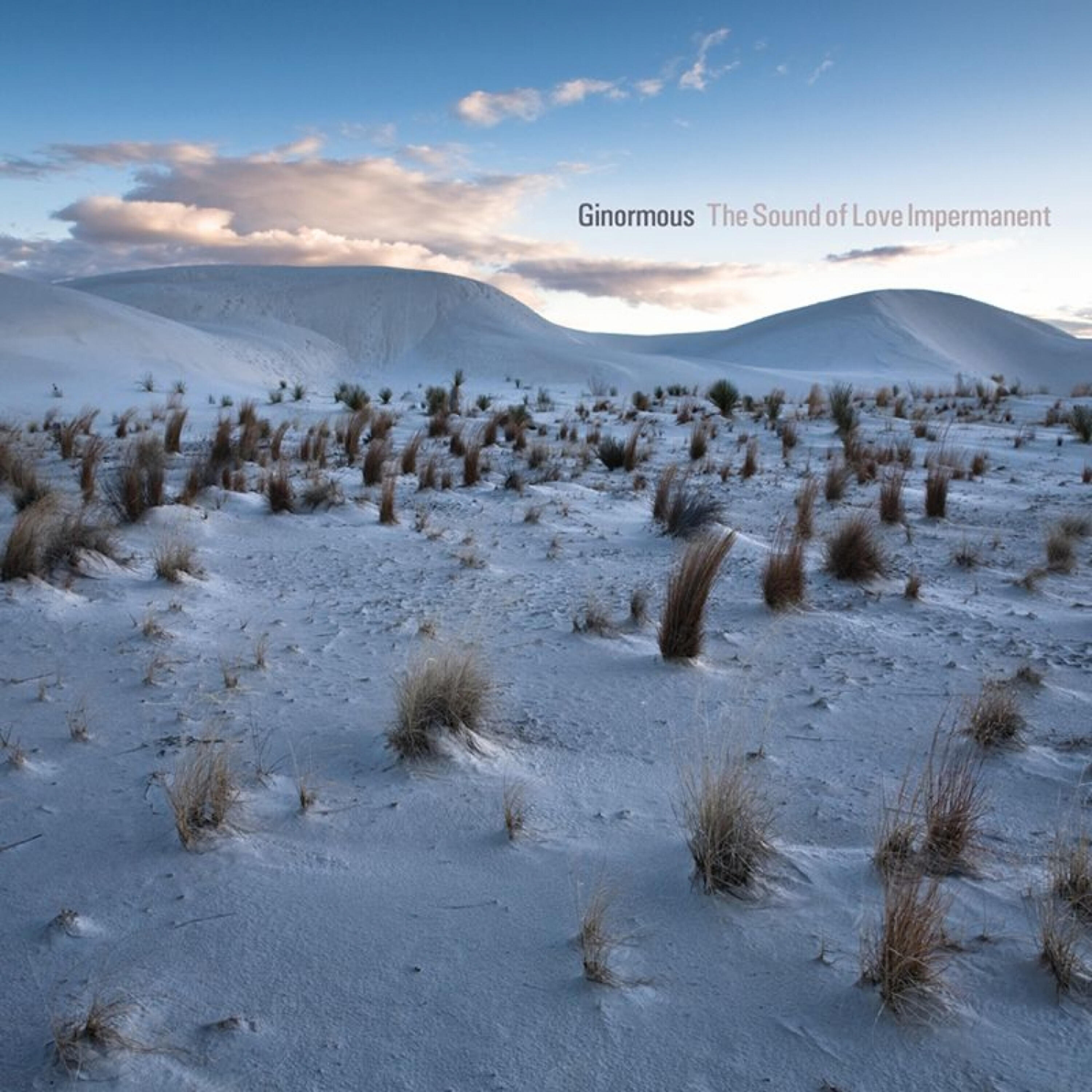 Релиз The Sound of Love Impermanent