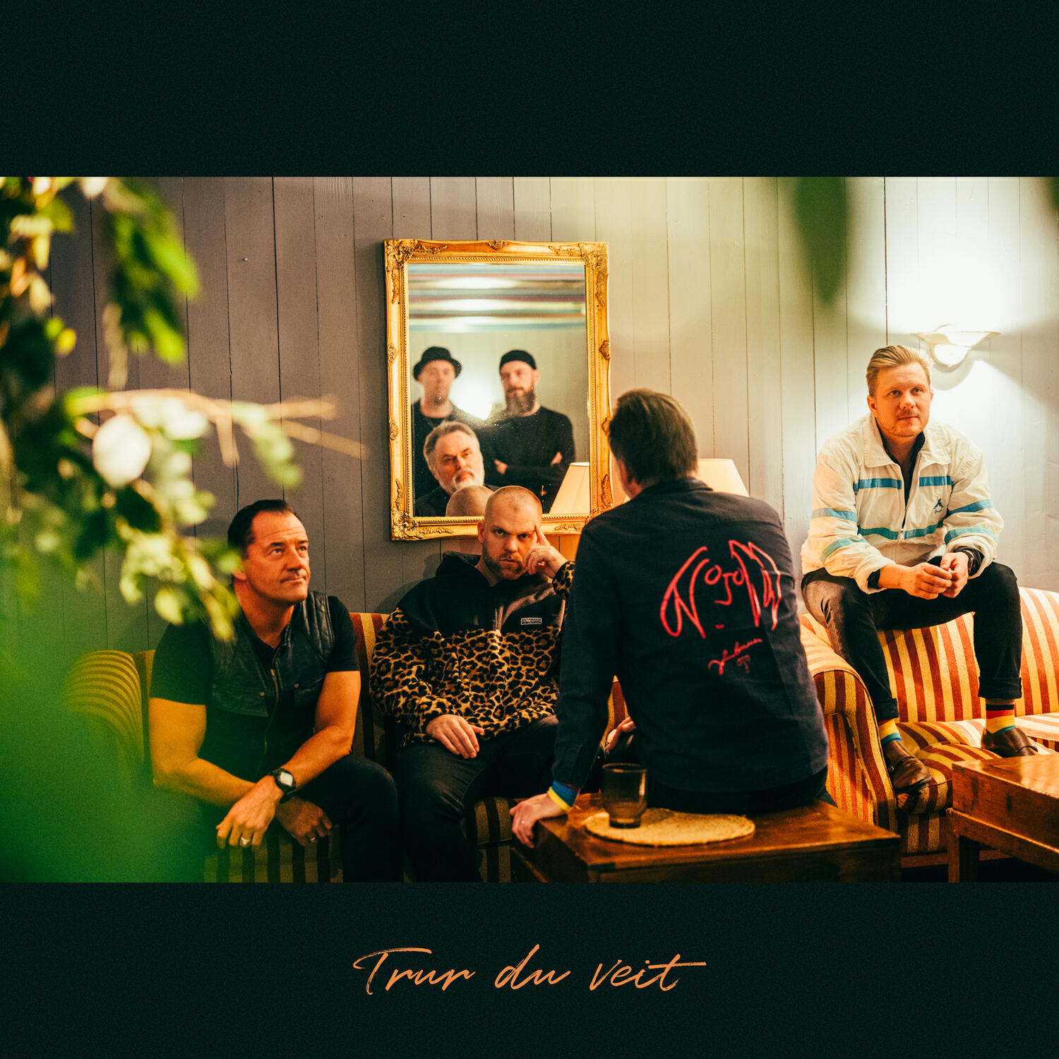 Релиз Trur du veit