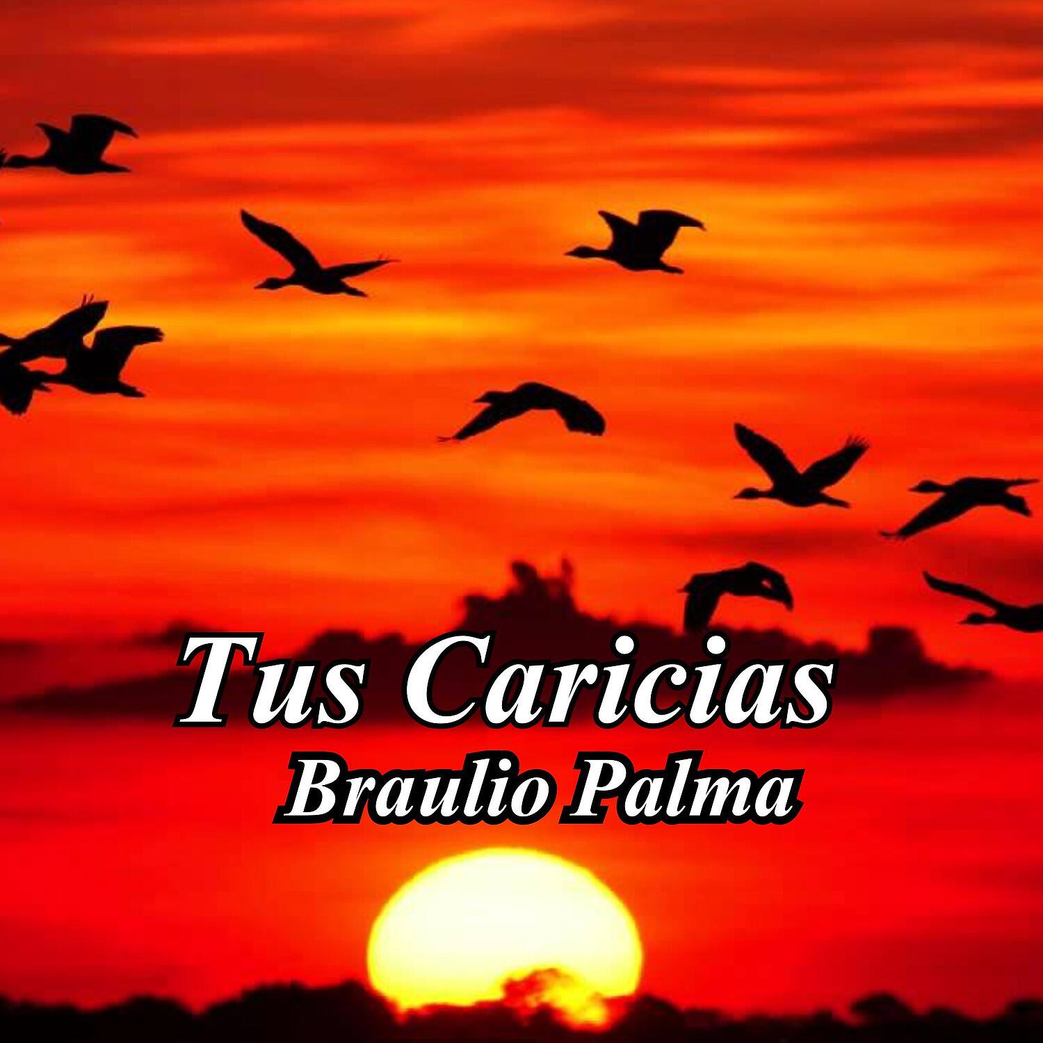 Релиз Tus Caricias