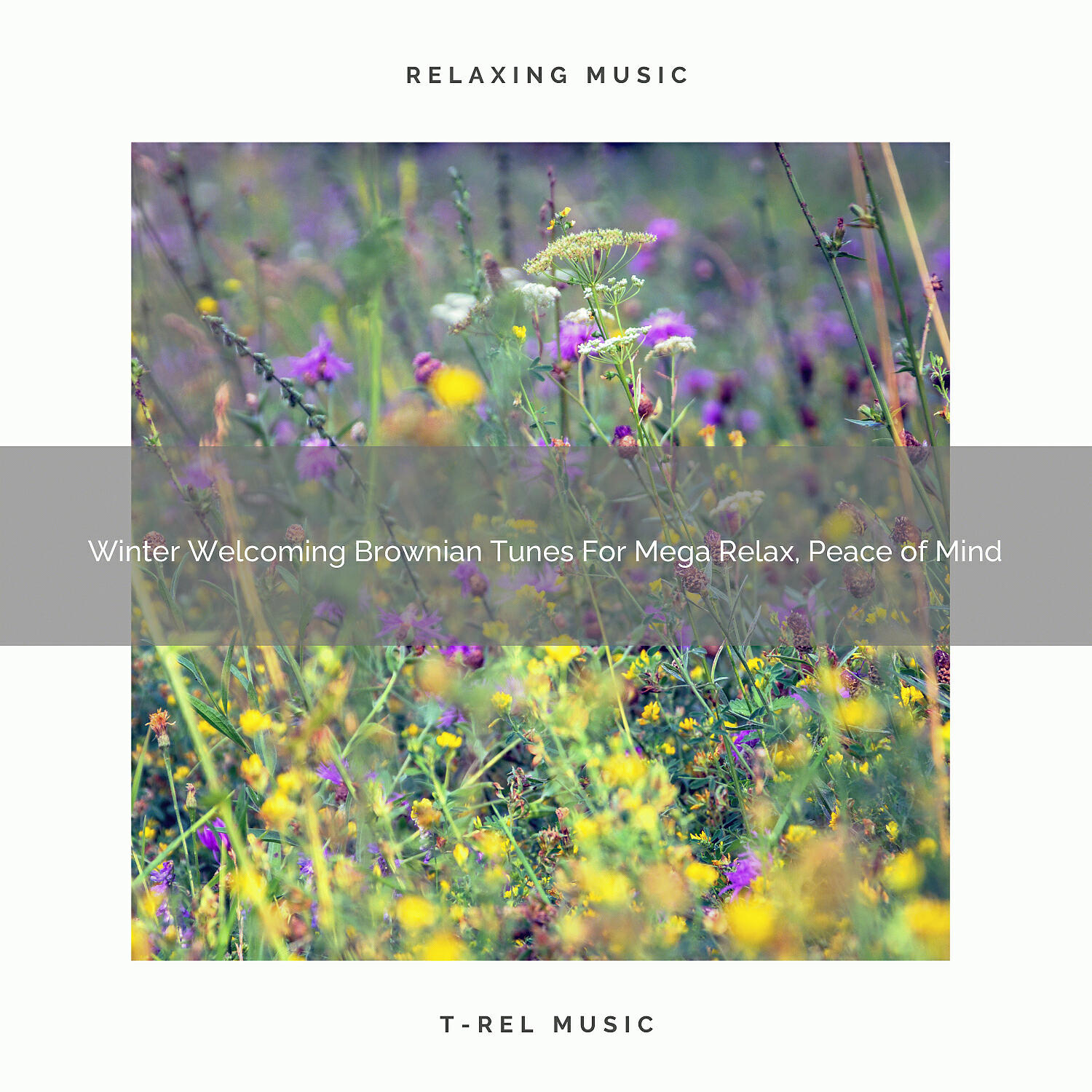 Релиз Winter Welcoming Brownian Tunes For Mega Relax, Peace of Mind