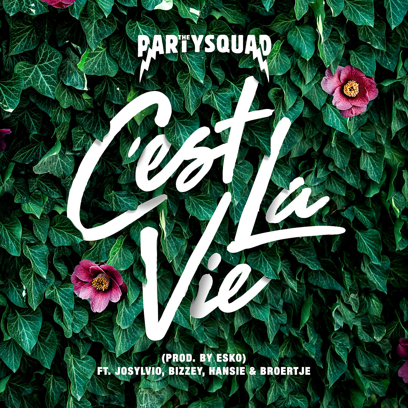 Релиз C'est la vie