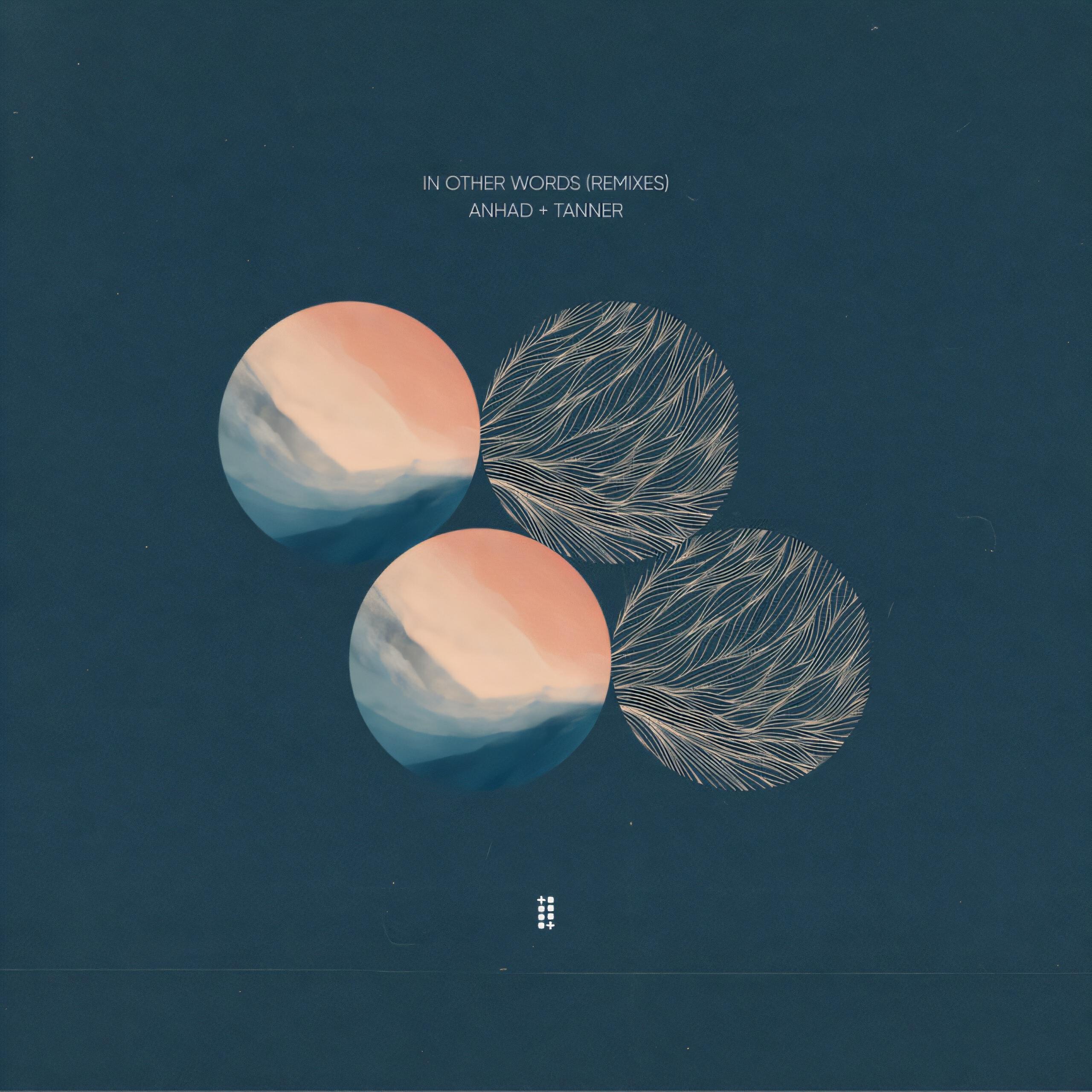 Релиз In Other Words (Remixes)