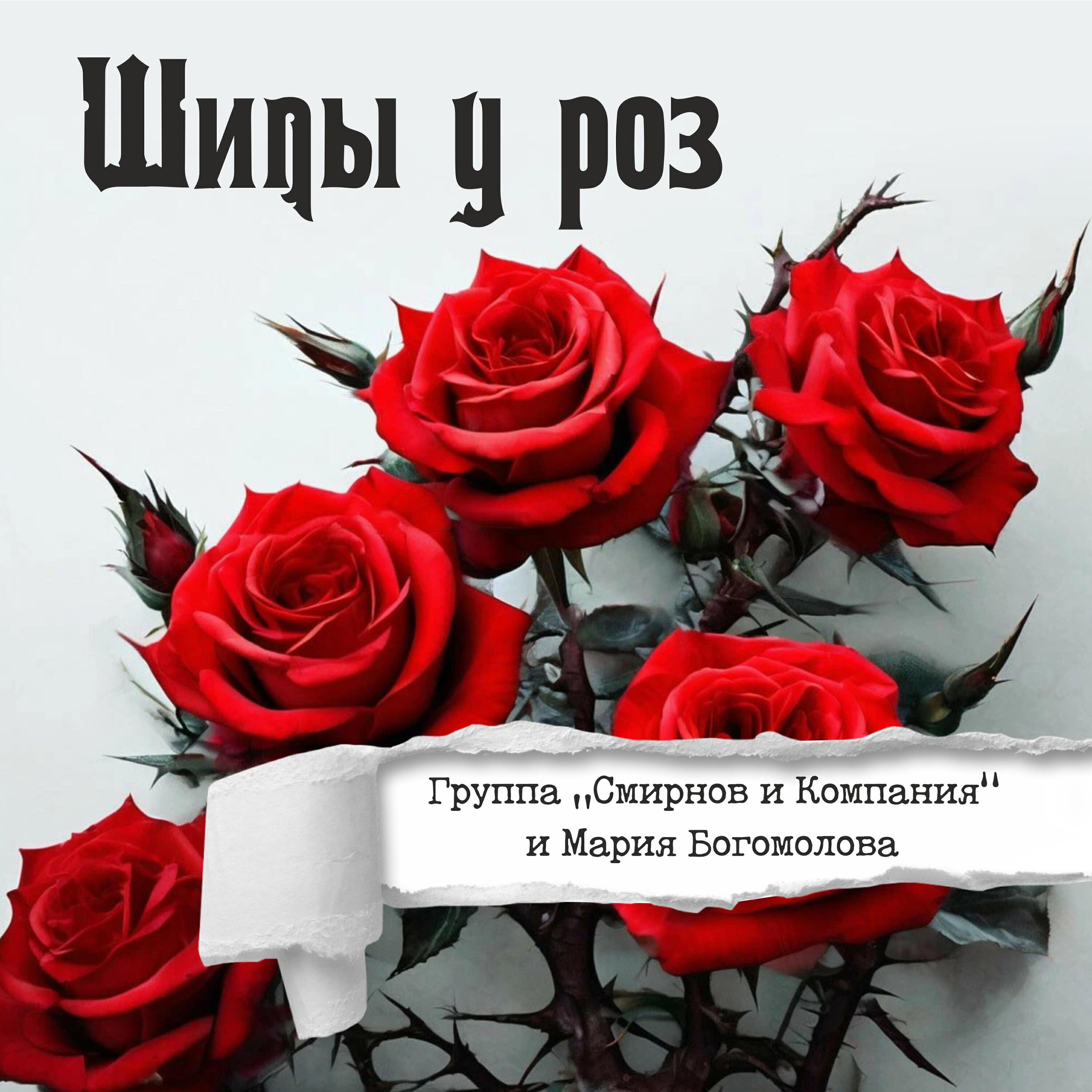 Мария Богомолова