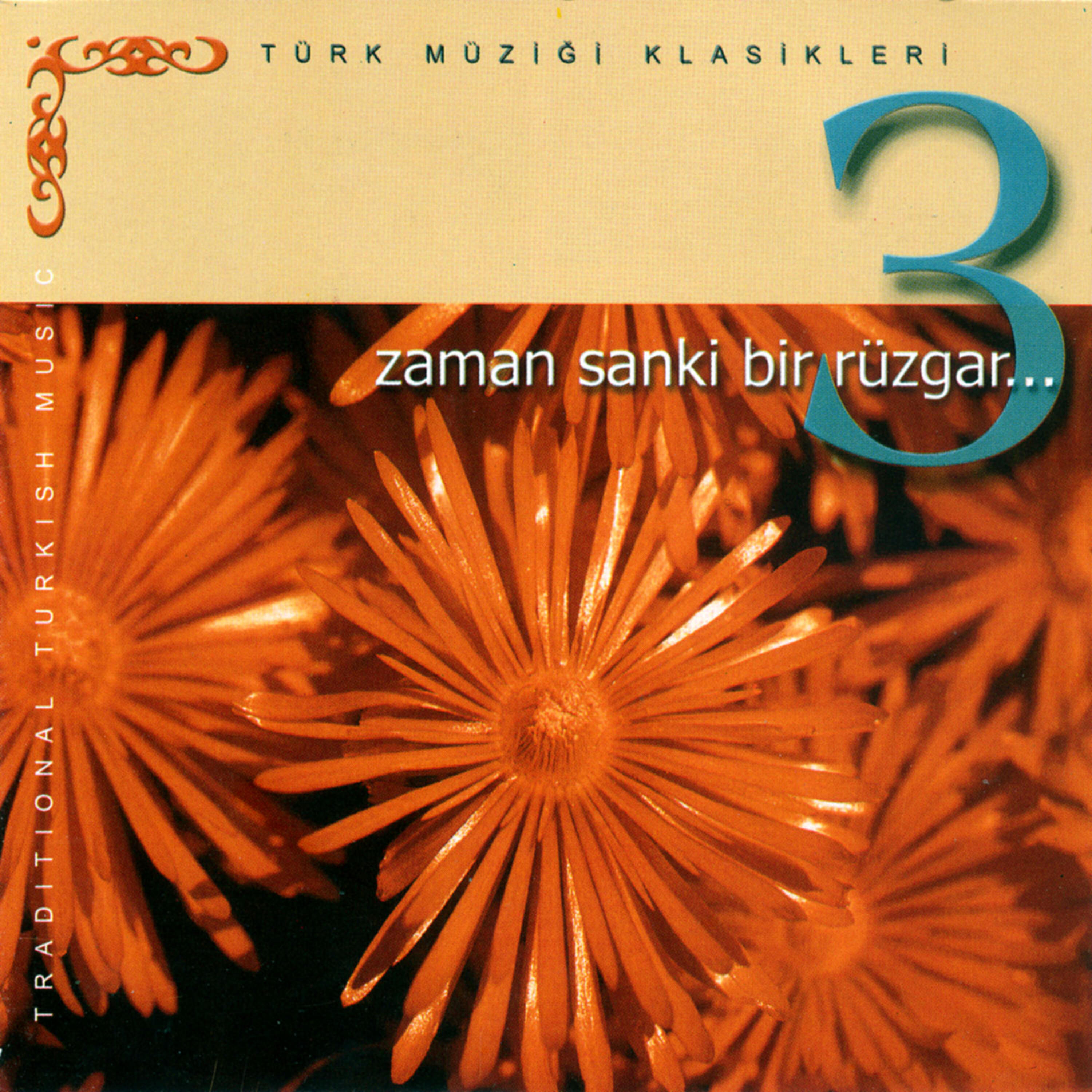 Релиз Zaman Sanki Bir Rüzgar 3