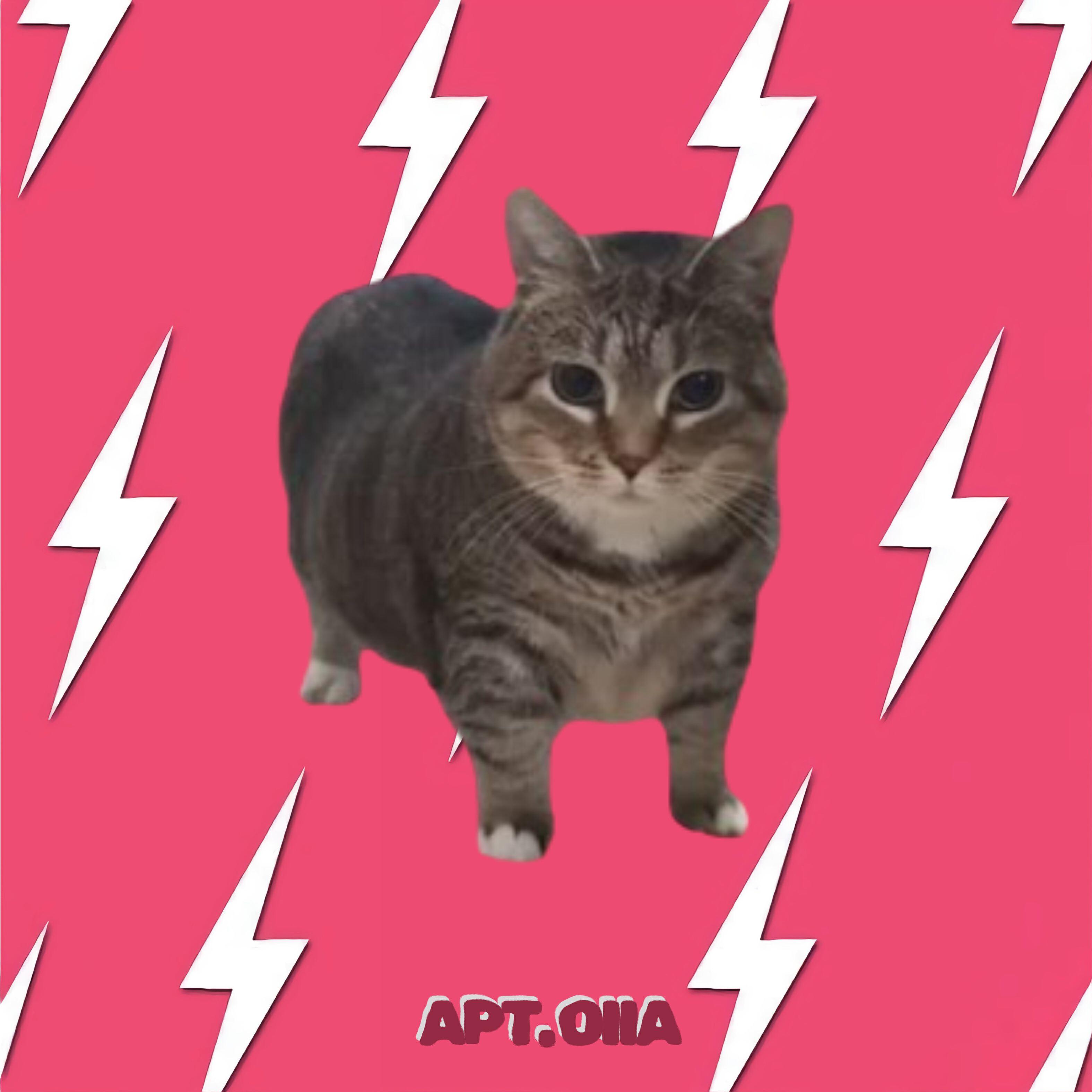 Релиз APT OIIA