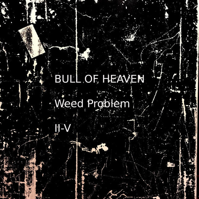 Релиз Weed Problem II-V