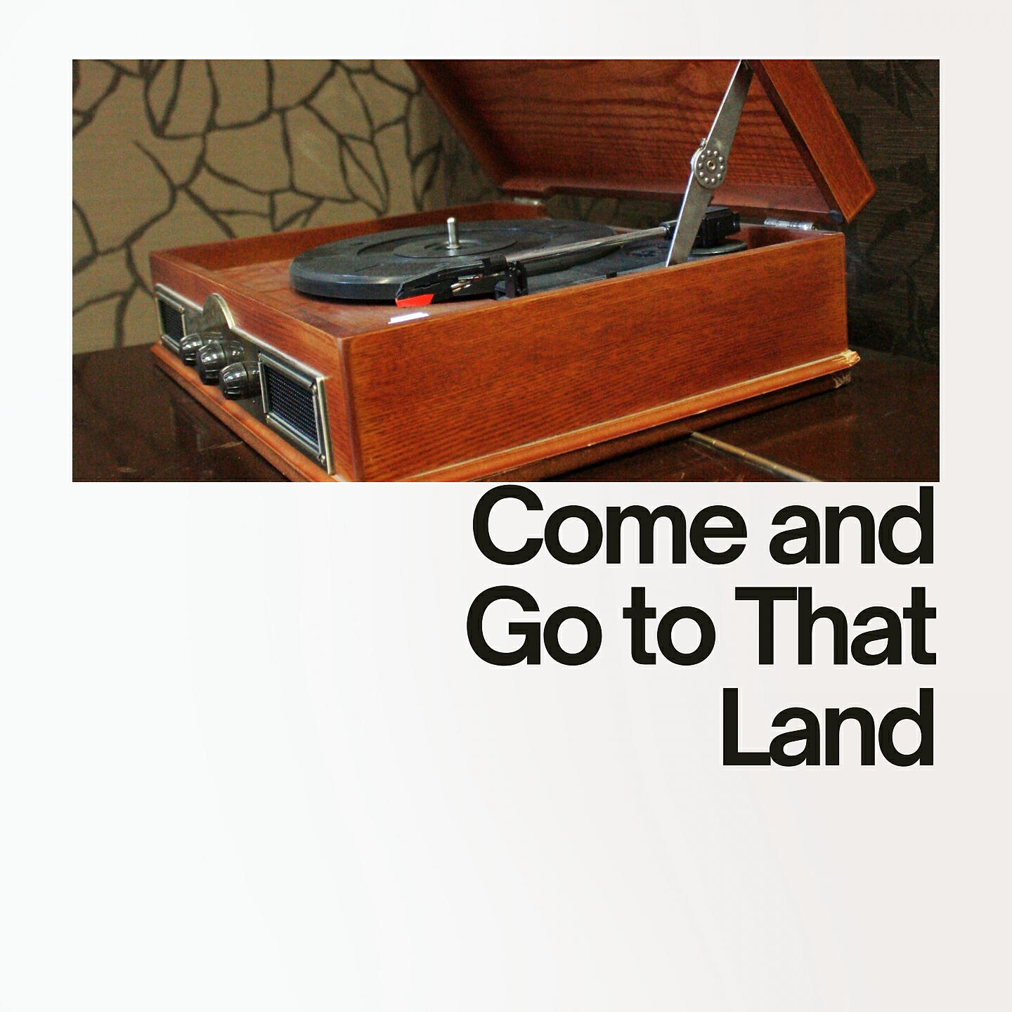 Релиз Come and Go to That Land
