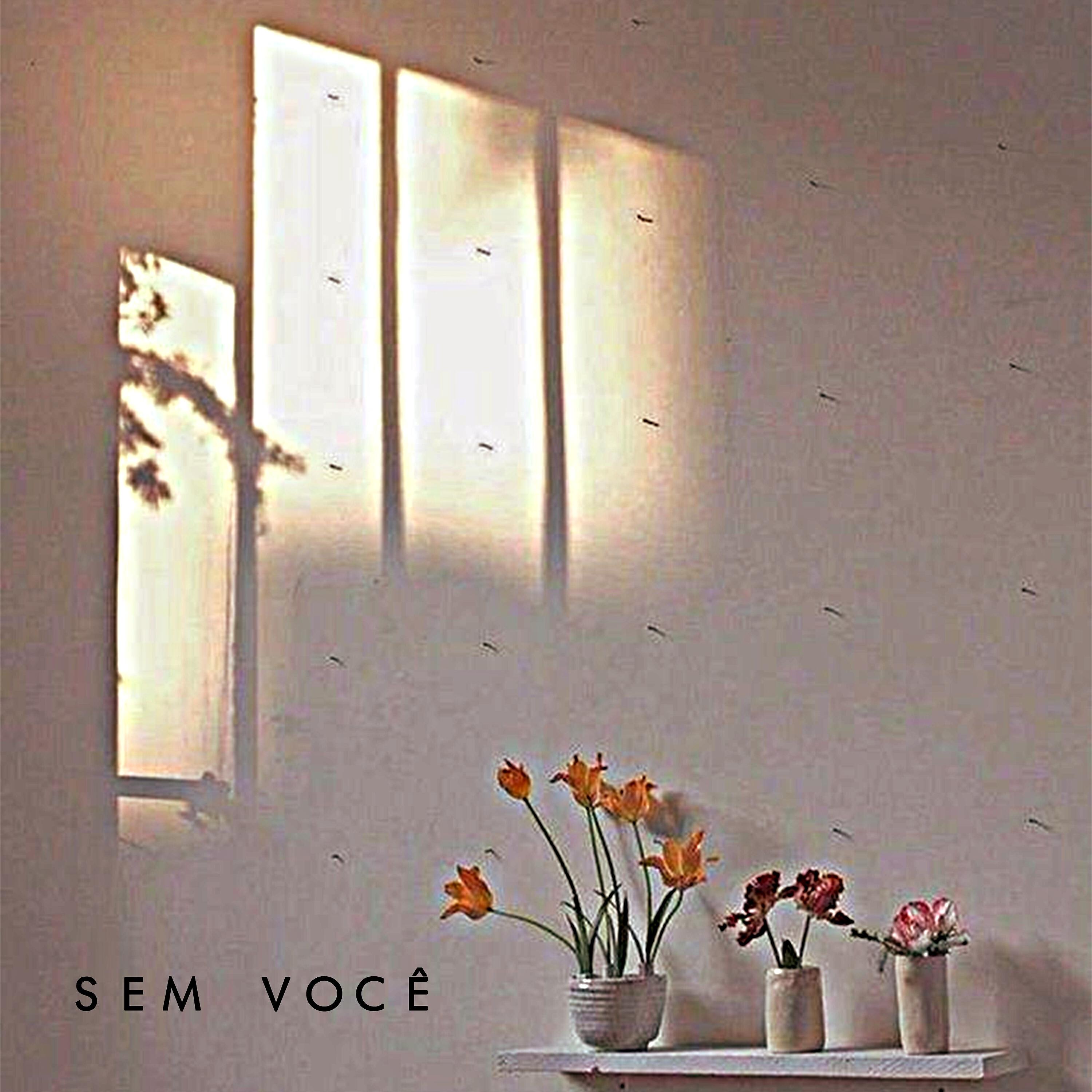 Релиз Sem Você