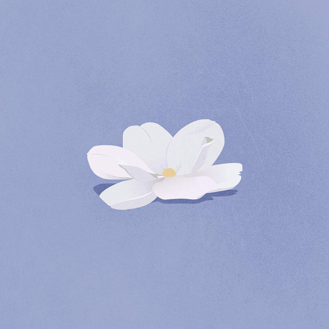 Релиз Magnolia