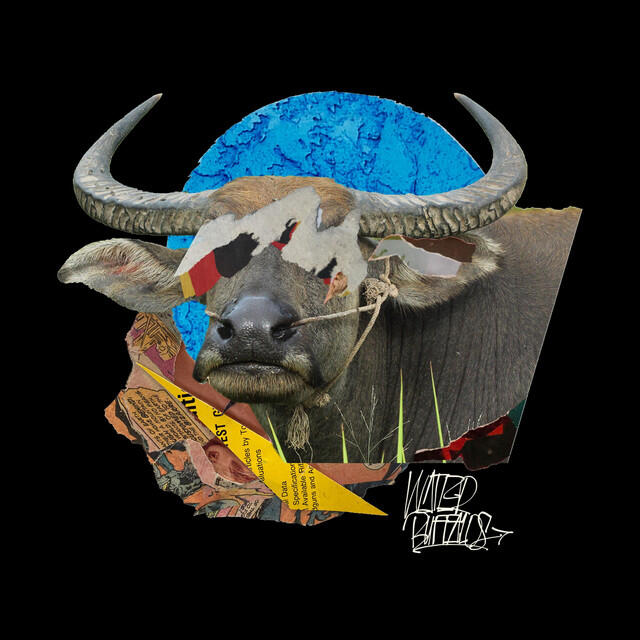 Релиз Water Buffalos