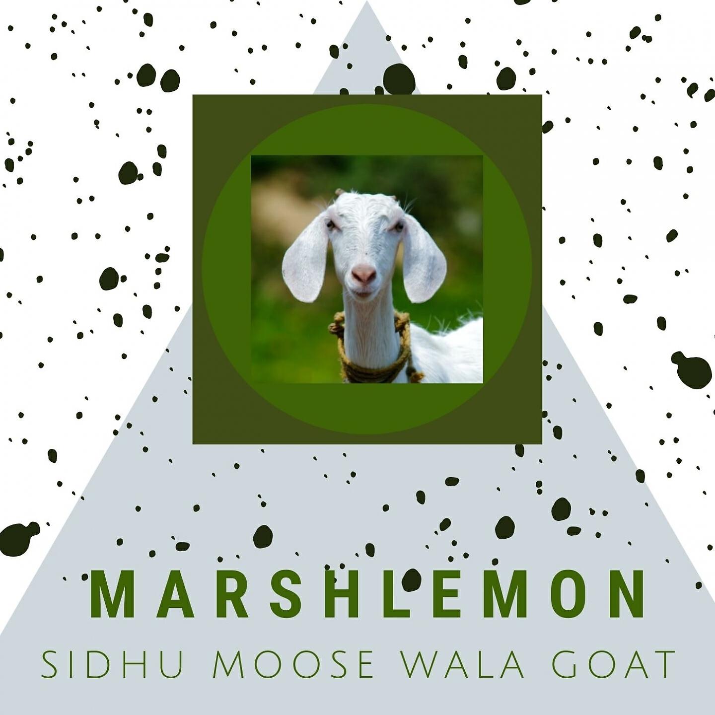 Релиз Sidhu Moose Wala Goat