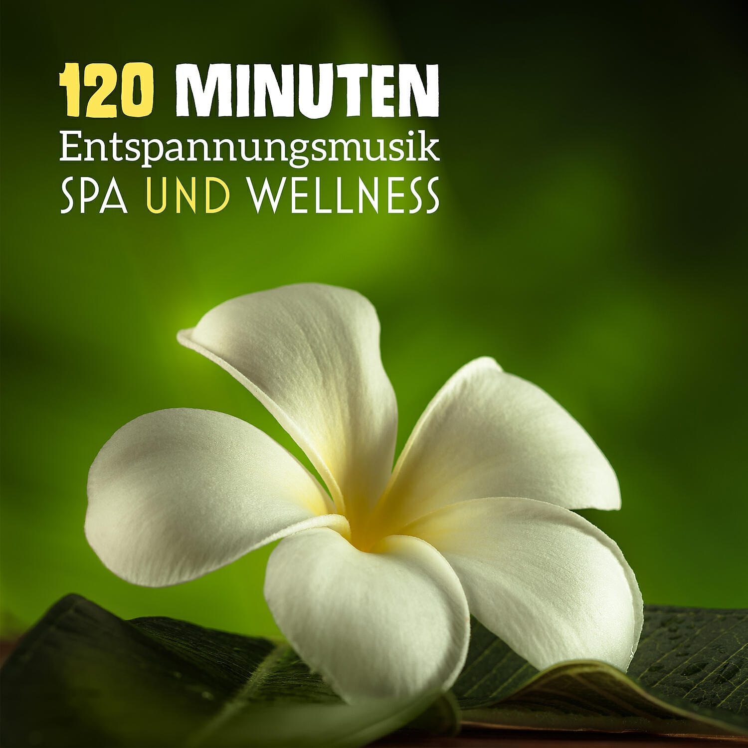 Релиз 120 Minuten Entspannungsmusik: Spa und Wellness, Naturgeräusche für Heilmassage, Entspannungszeit, Reiki Heilung