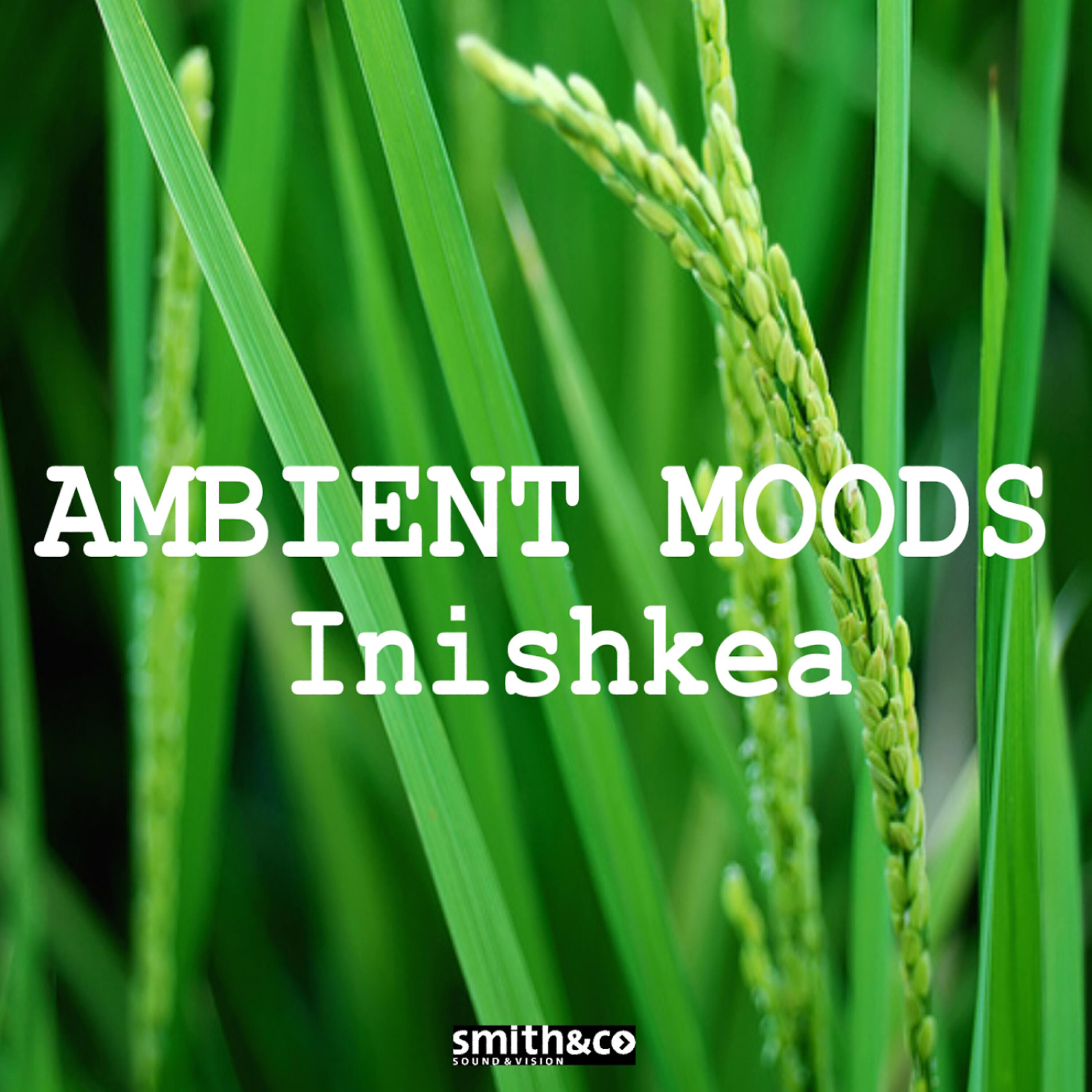 Релиз Ambient Moods