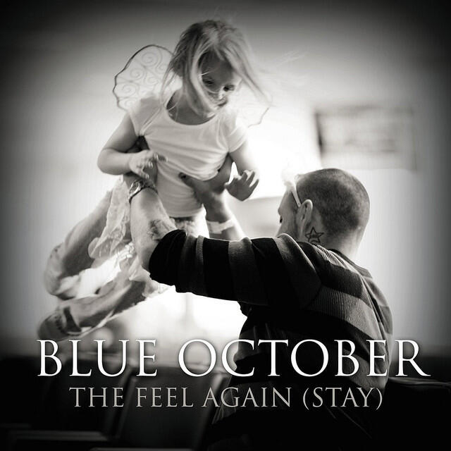 Релиз The Feel Again (Stay) - Single