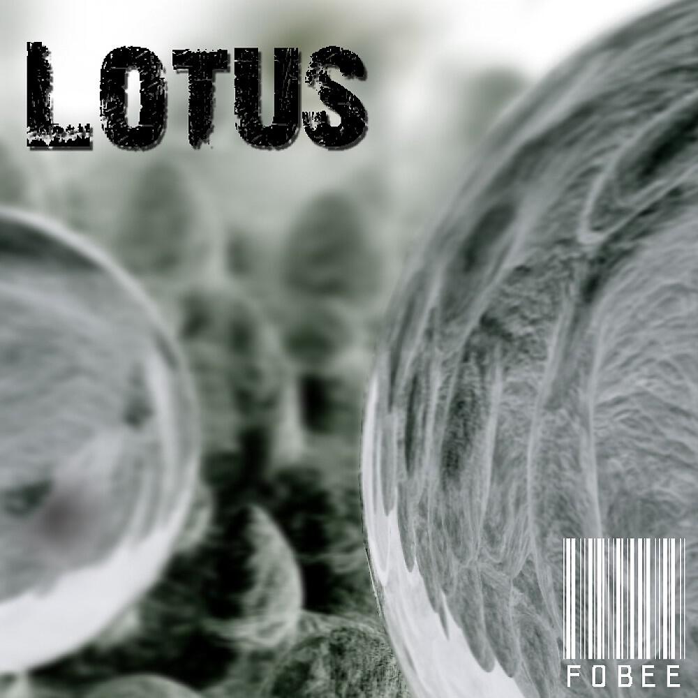 Релиз Lotus