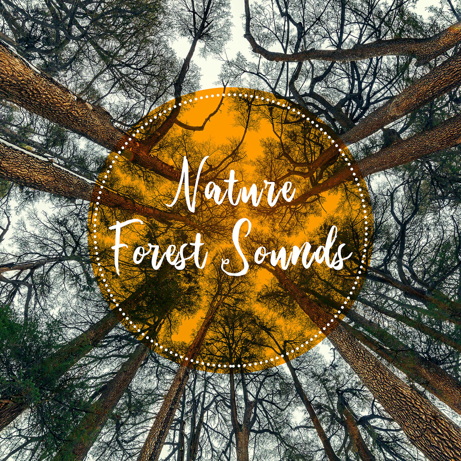 Релиз Nature Forest Sounds