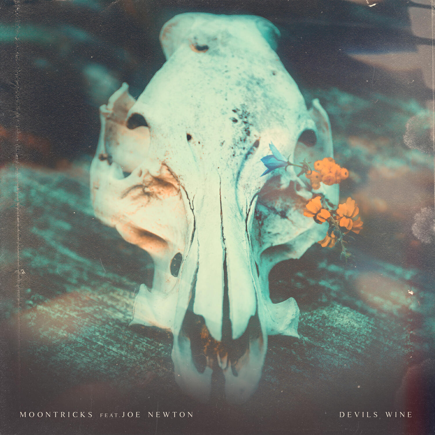 Релиз Devil's Wine