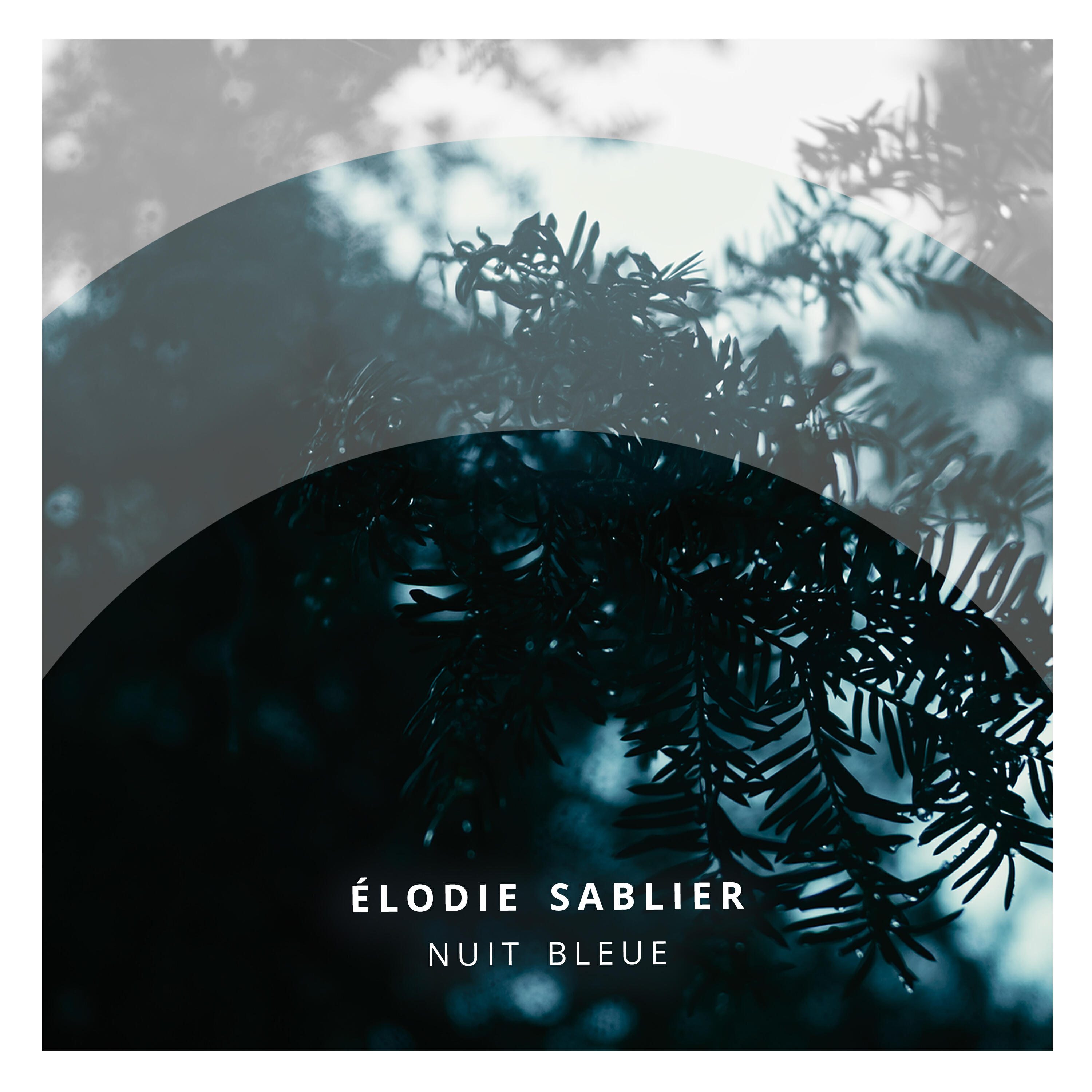 Релиз Nuit Bleue