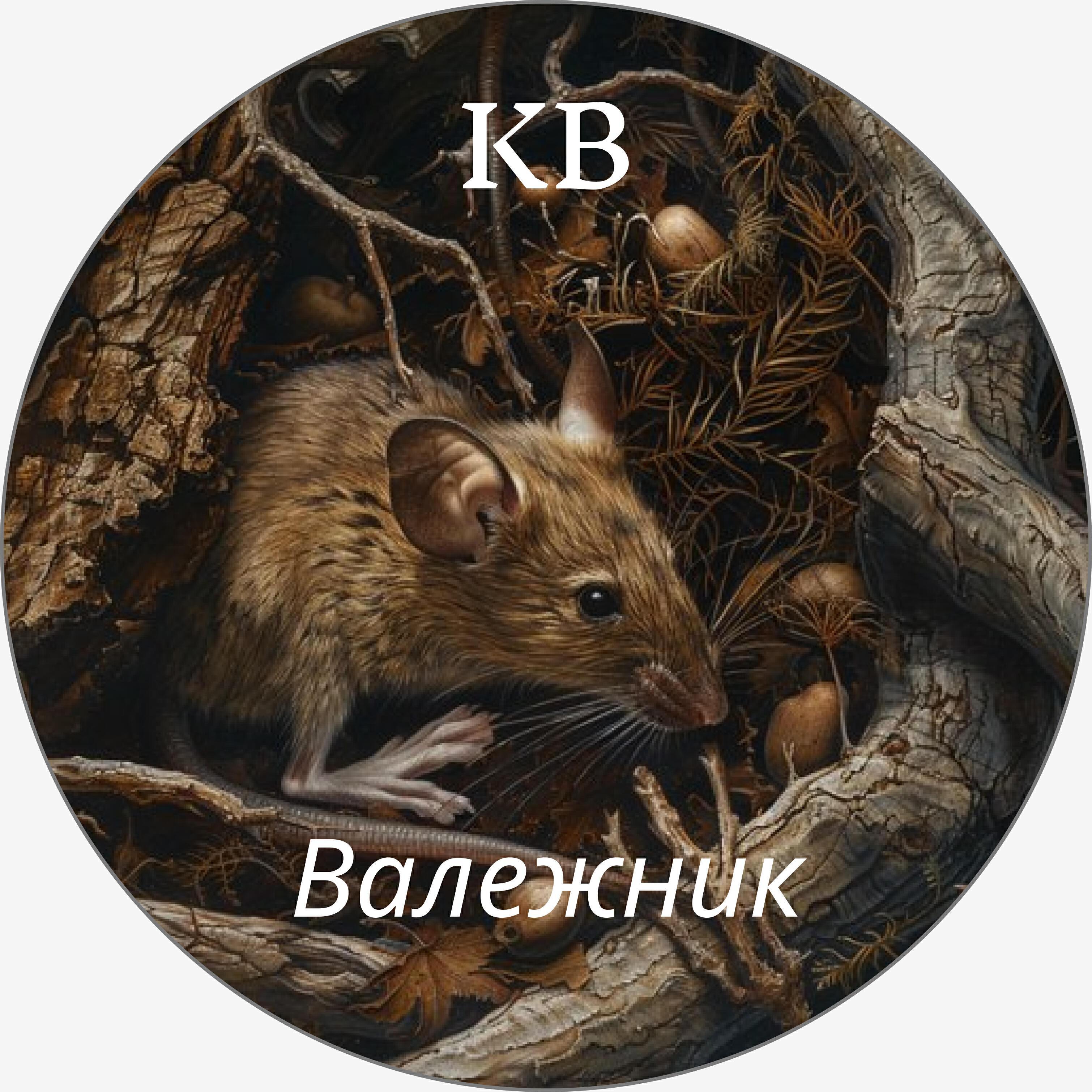 КВ