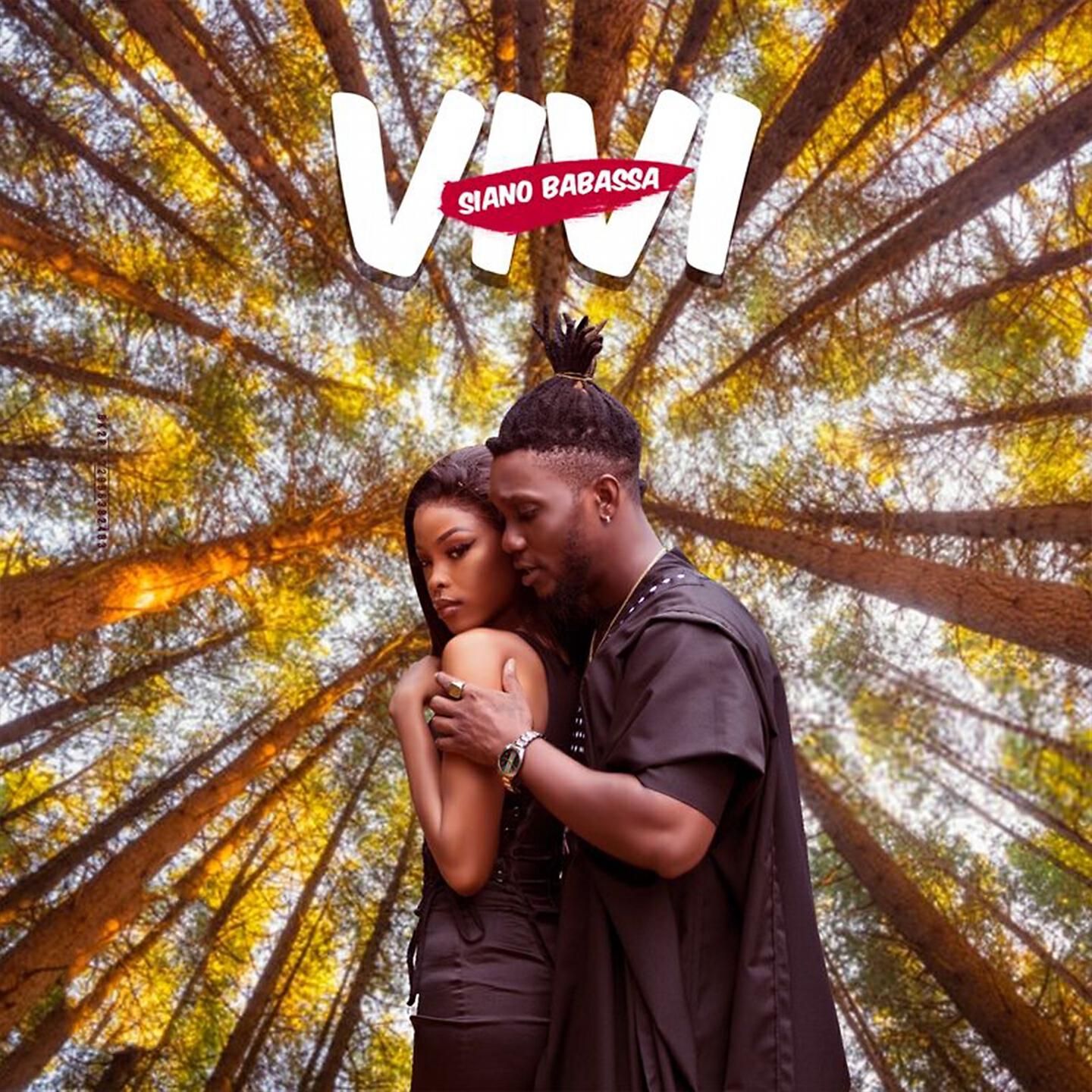 Релиз Vivi