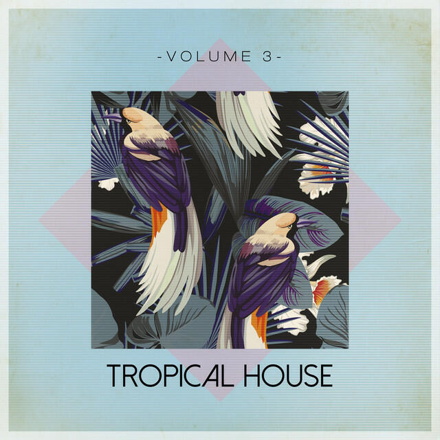 Релиз Tropical House, Vol. 3
