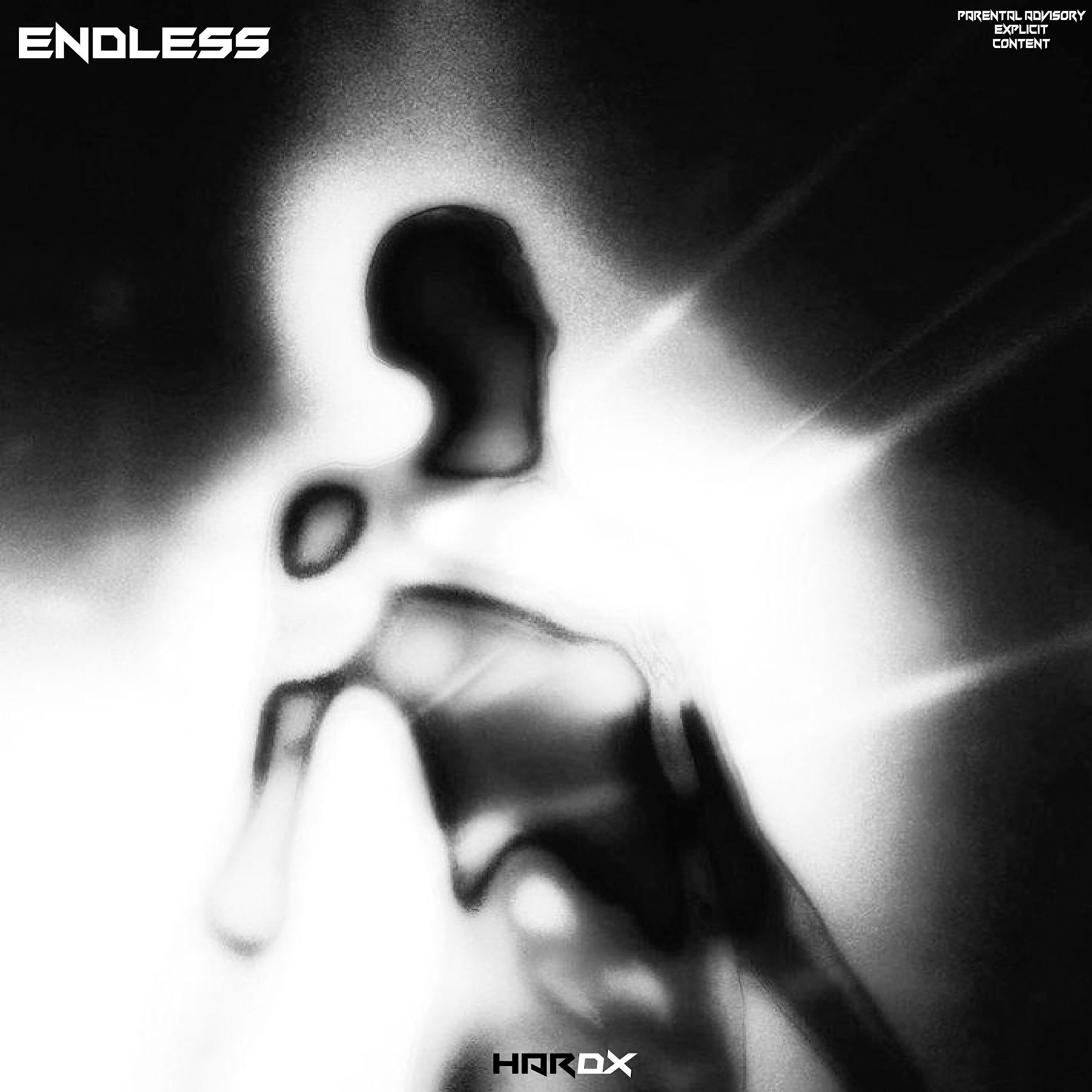 Постер альбома ENDLESS