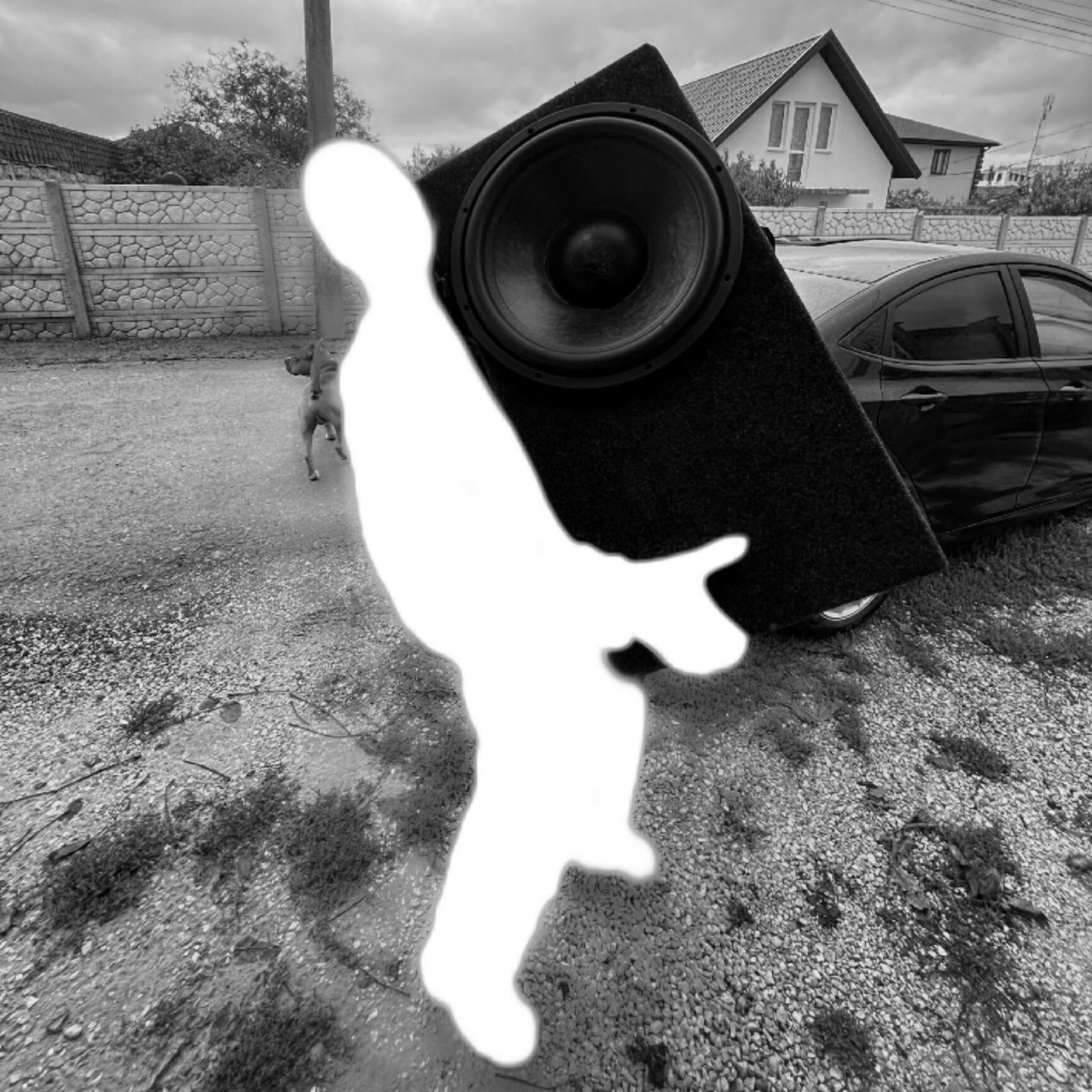 Релиз Vandal Sport