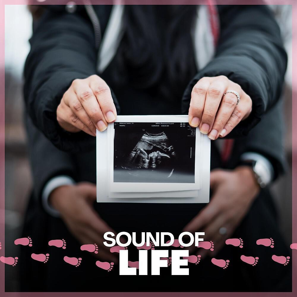 Релиз Sound of Life