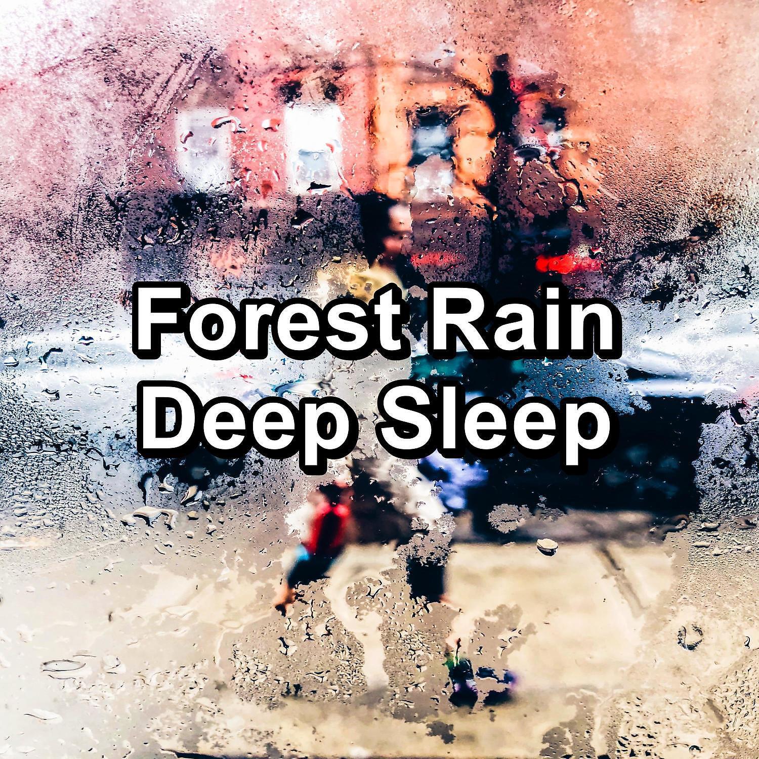 Релиз Forest Rain Deep Sleep
