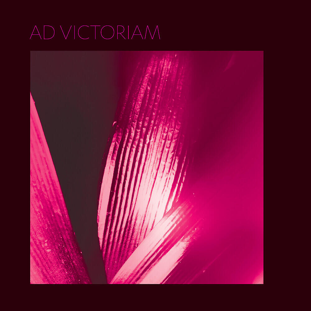 Релиз Ad Victoriam