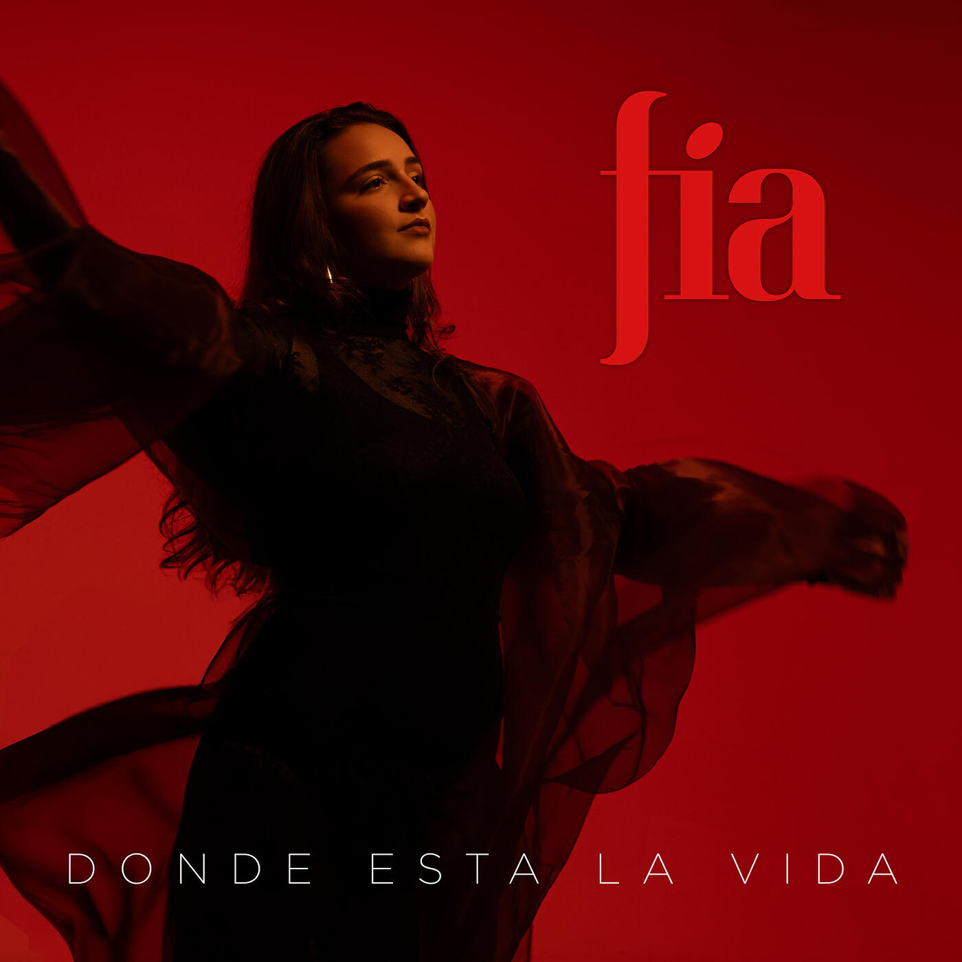 Релиз Donde Esta La Vida