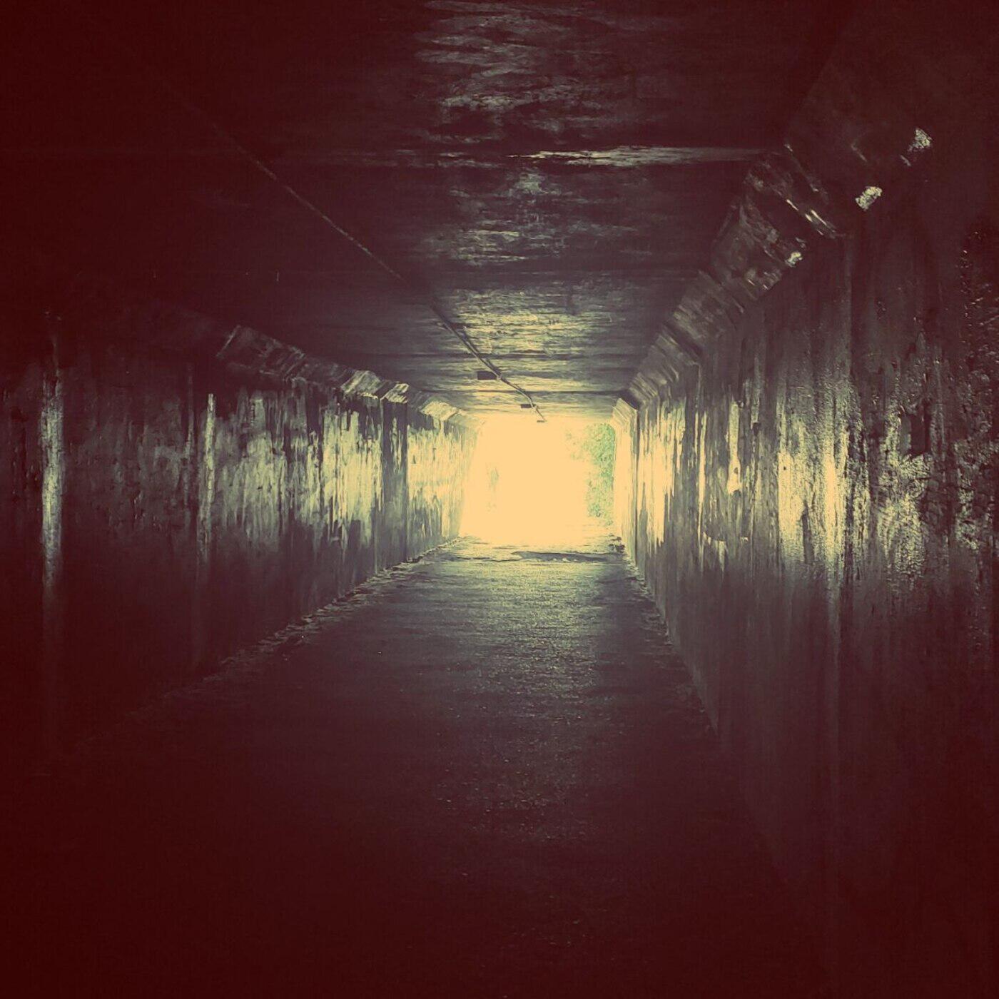 Релиз Trip 33
