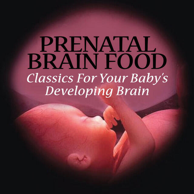 Релиз Prenatal Brain Food - Classics For Your Baby's Developing Brain