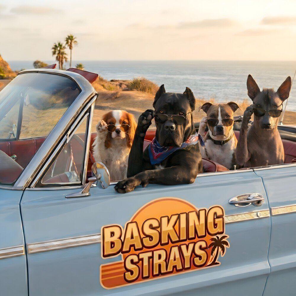 Basking Strays