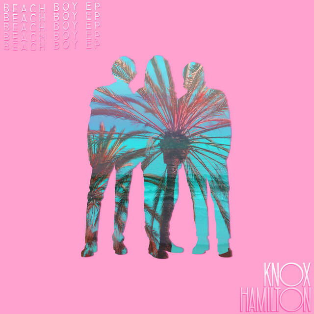 Релиз Beach Boy