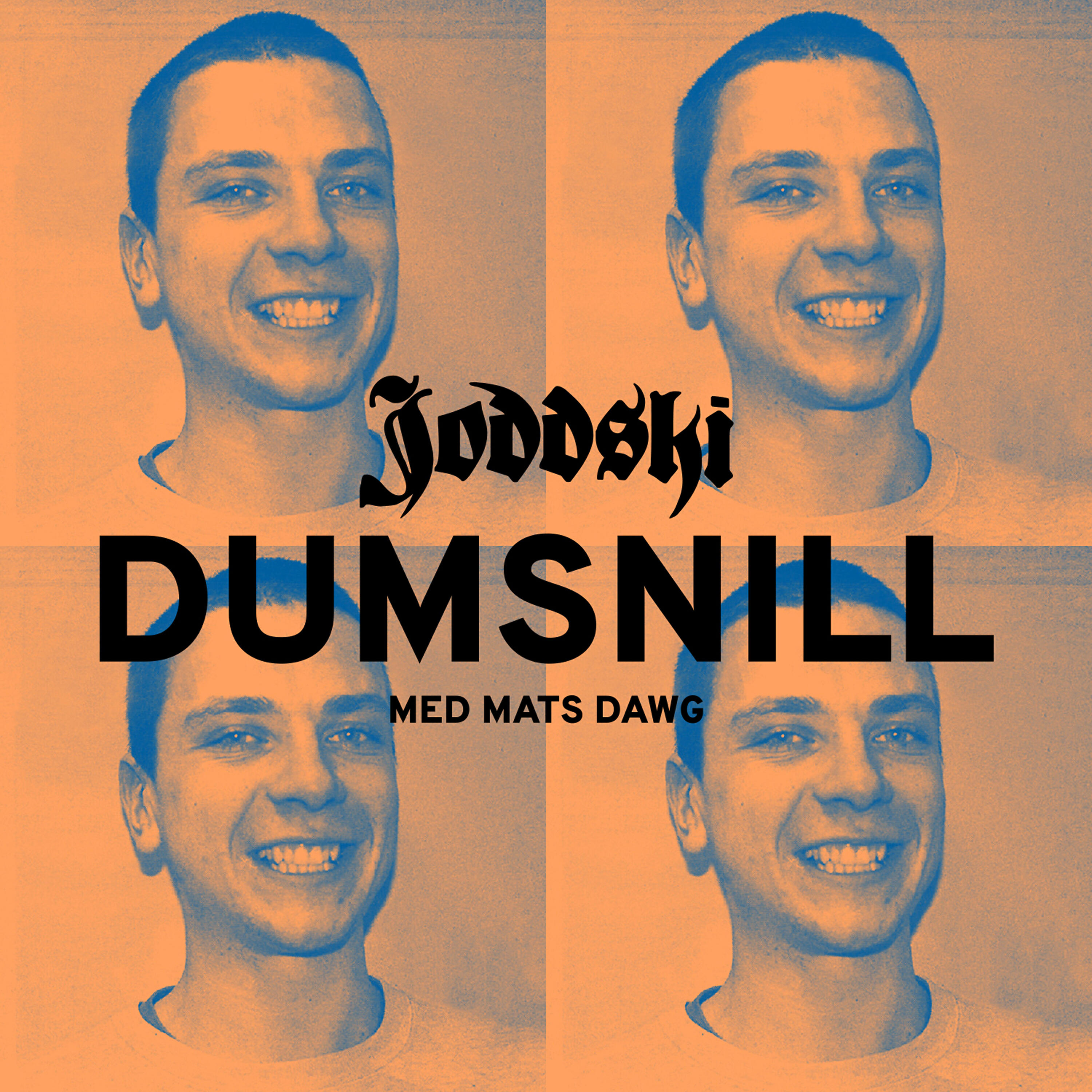 Релиз Dumsnill